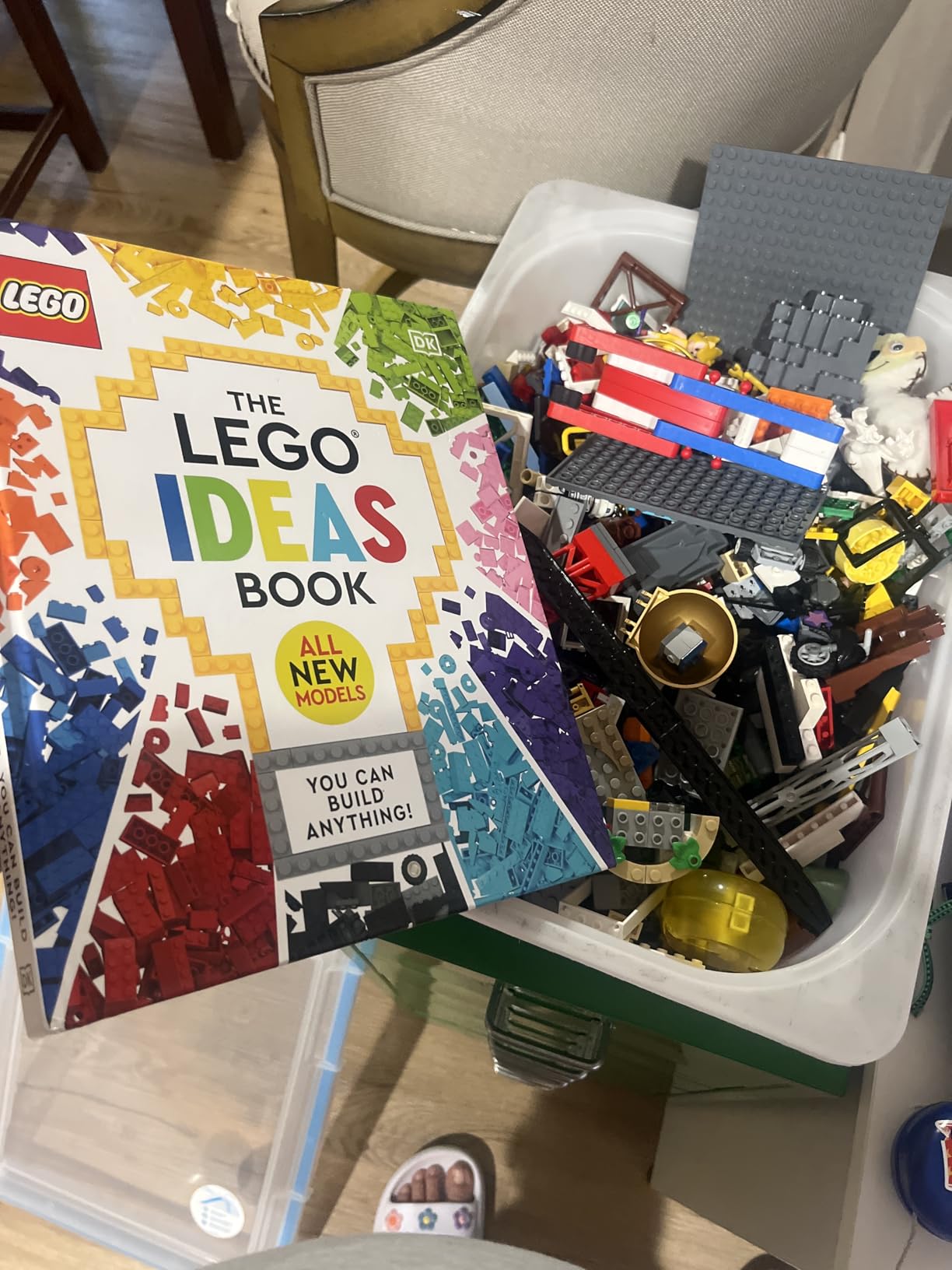 The LEGO Ideas Book New Edition: You Can Build Anything! customer photo 2