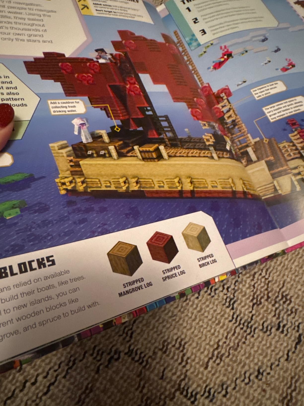 The Minecraft Ideas Book: Create the Real World in Minecraft with 70+ Awesome Builds customer photo 2