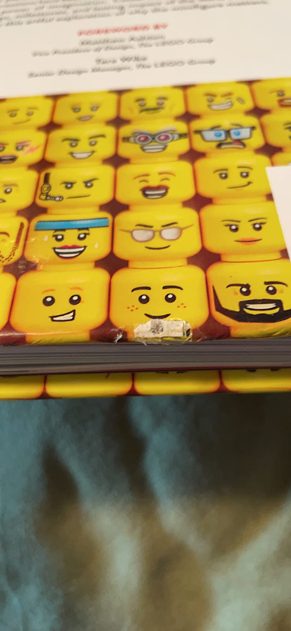 LEGO The Art of the Minifigure customer photo 1