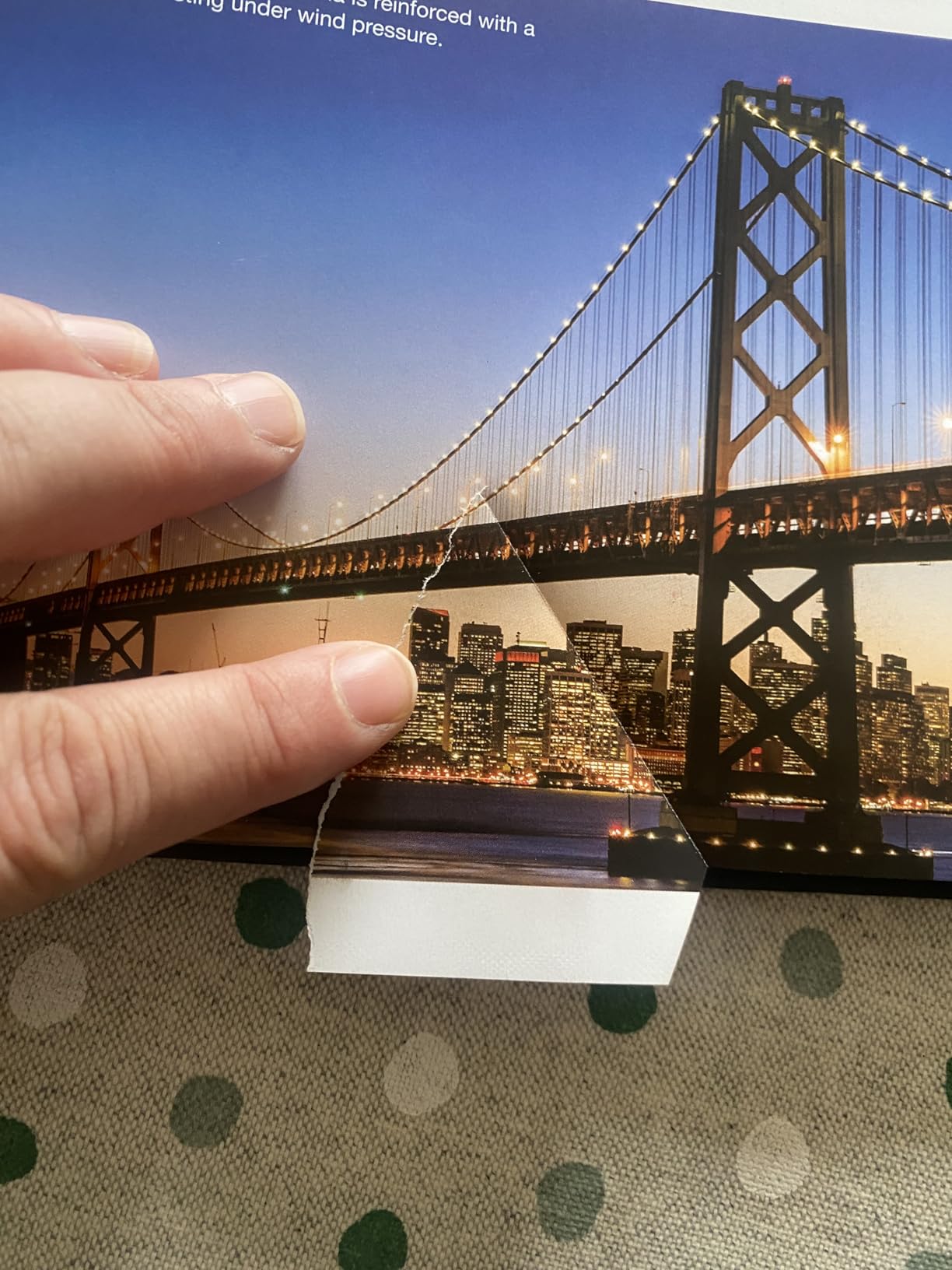 The LEGO Engineer customer photo 1