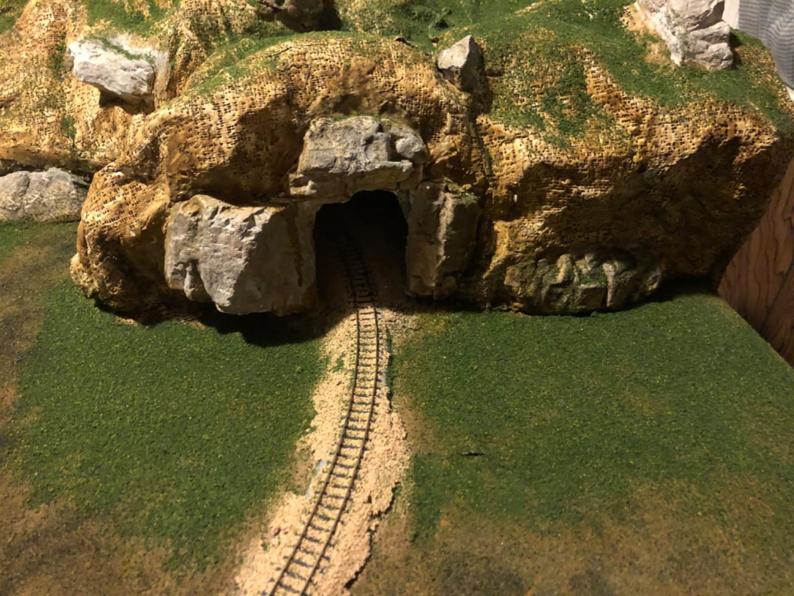 Woodland Scenics Mountain Valley Scenery Kit customer photo 1