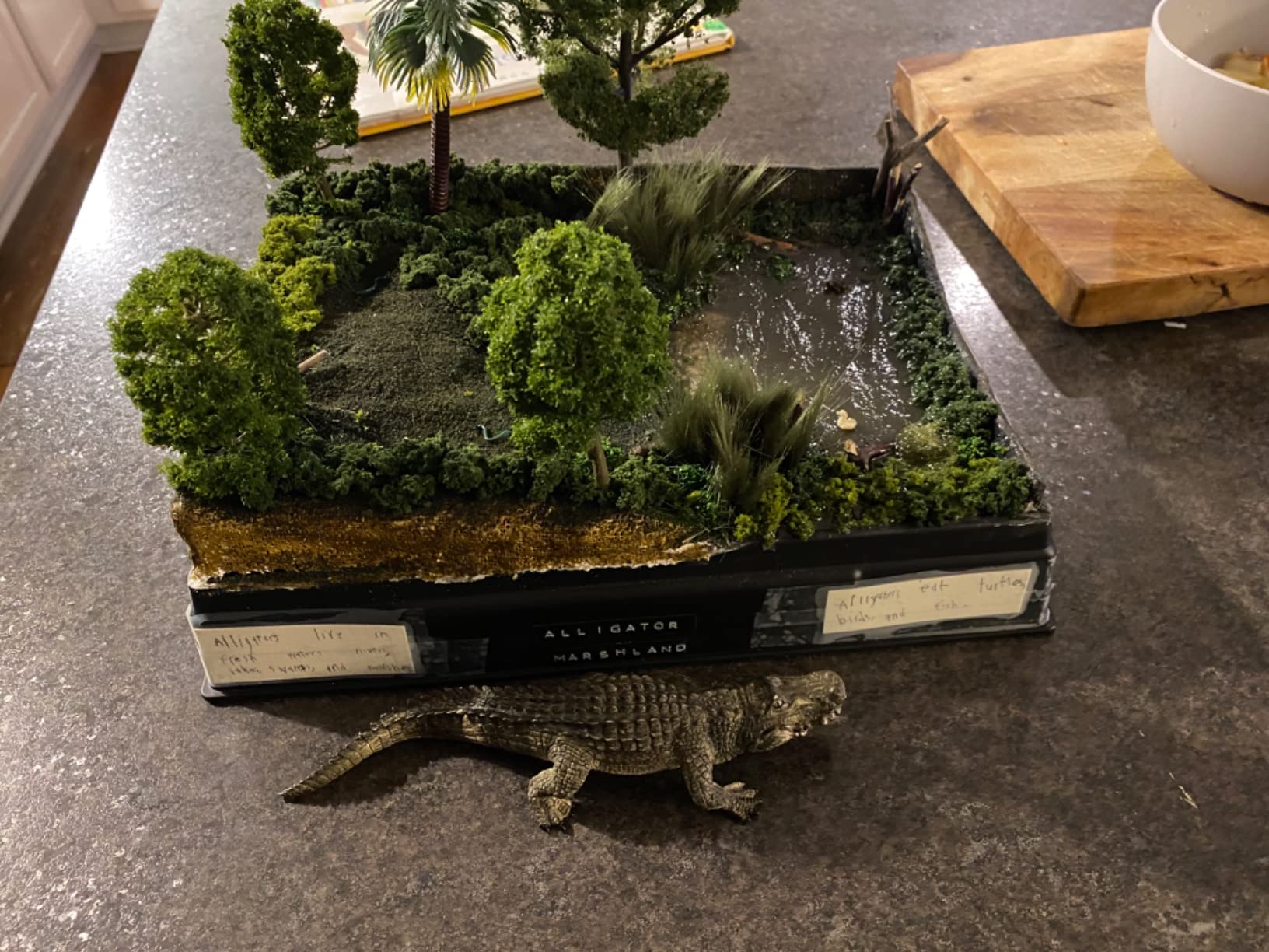 Scene-A-Rama Water Diorama Kit customer photo 2