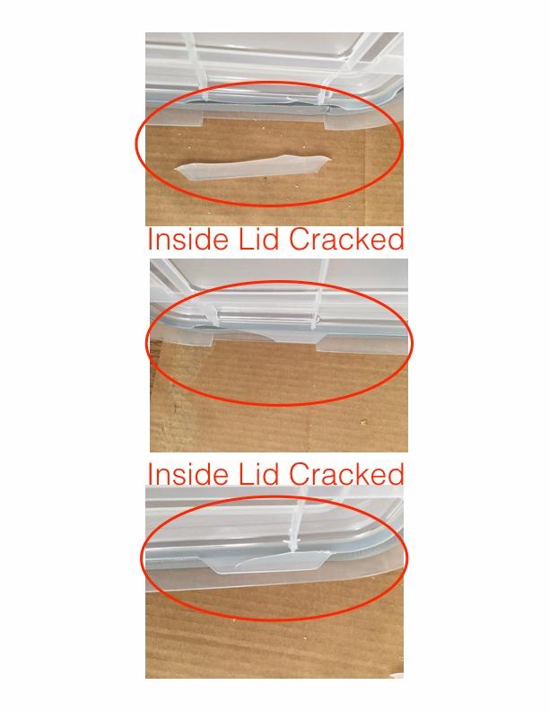 IRIS USA 41 Quart WEATHERPRO Plastic Storage Box with Durable Lid and Seal and Secure Latching Buckles, Clear with Black Buckles, 1 Pack customer photo 1