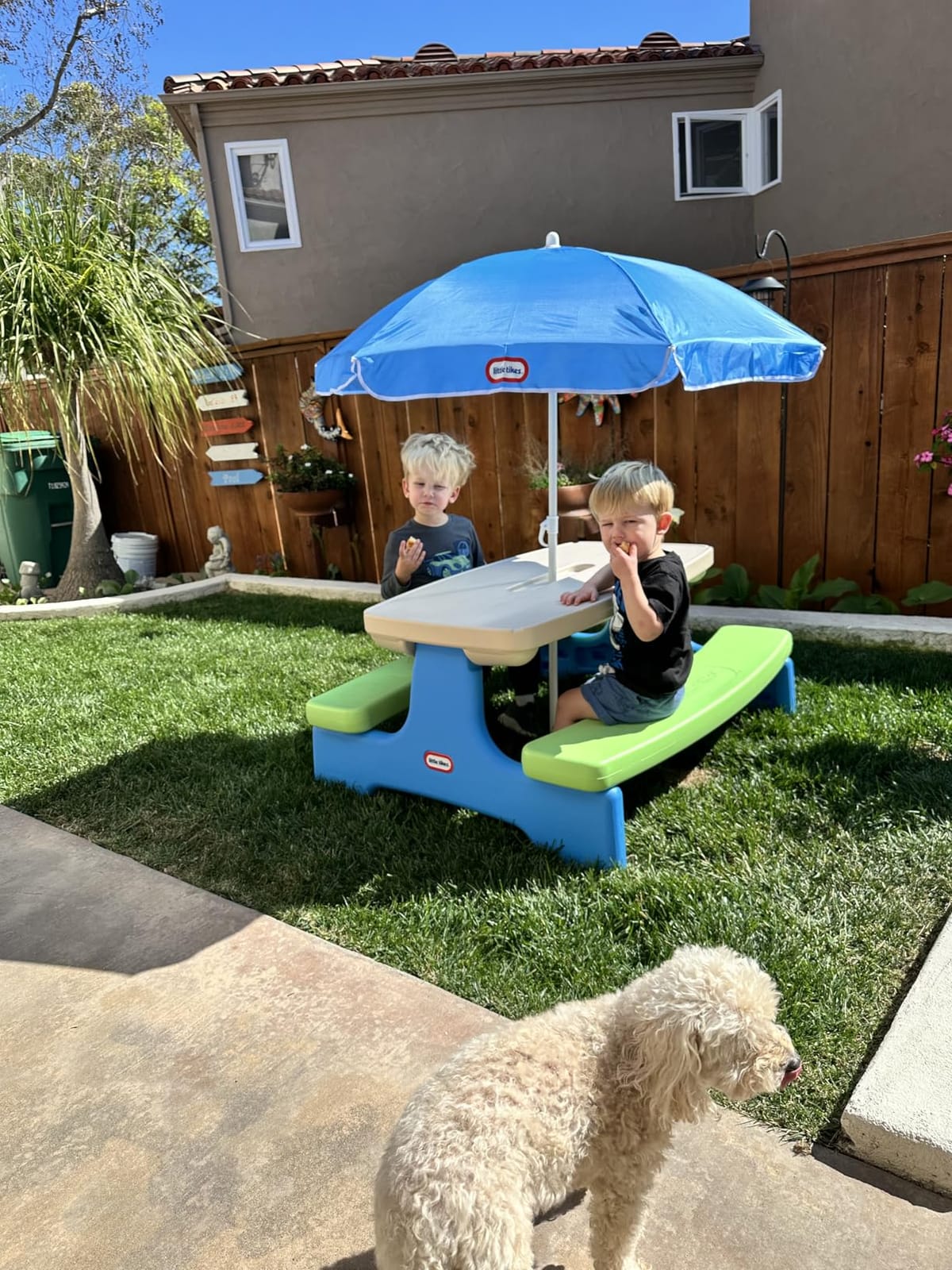 Little Tikes Easy Store Jr. Picnic Table with Umbrella - Blue / Green, 27.25''L x 27.00''W x 18.25''H customer photo 2