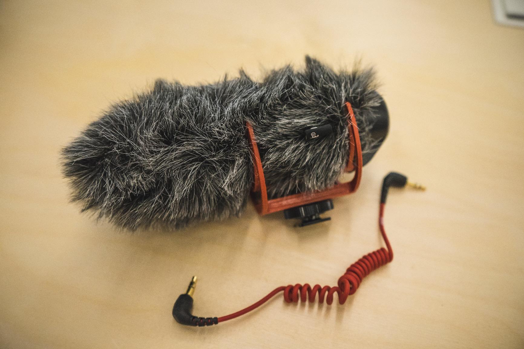Rode DDC-GO DeadCat Go Artificial Fur Microphone Wind Shield for VideoMic GO, Black | Acoustically transparent artificial fur with noise reduction for VideoMic GO, outdoor recording and indoor use customer photo 1