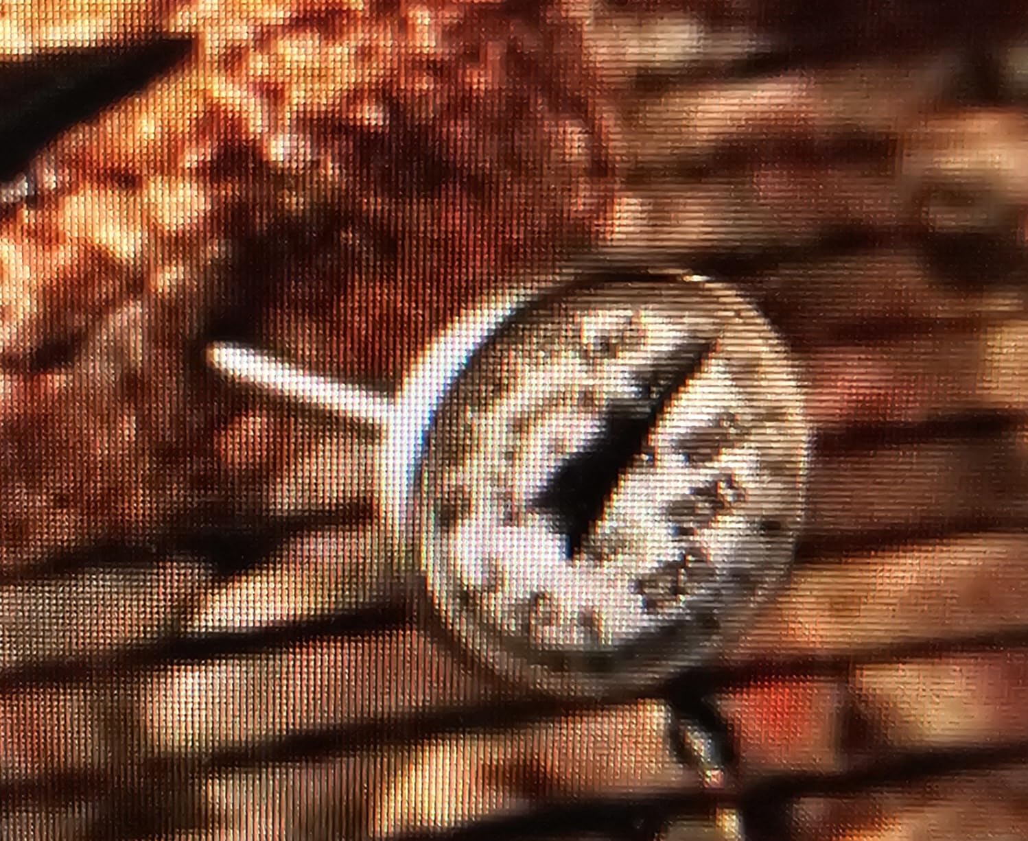 Alpha Grillers Instant Read Meat Thermometer Digital, Cooking, Food, Grill customer photo 2