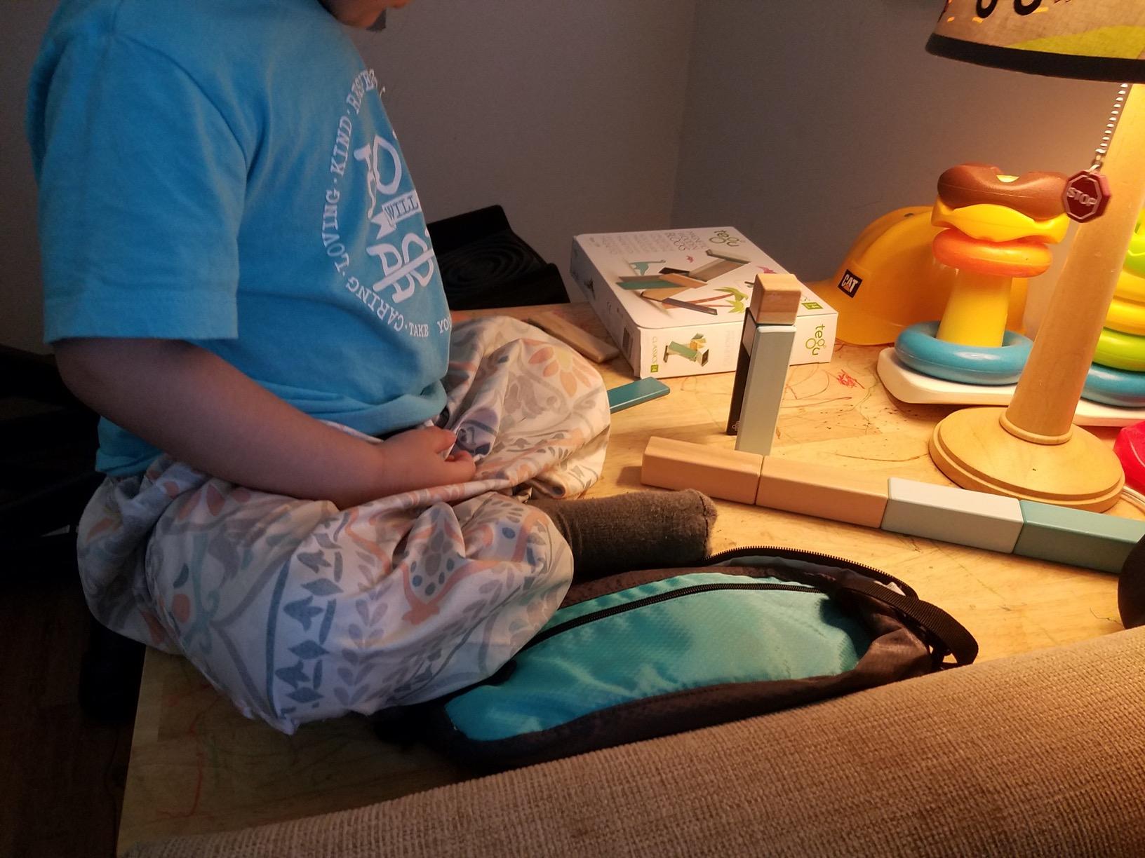 14 Piece Tegu Magnetic Wooden Block Set, Blues customer photo 1