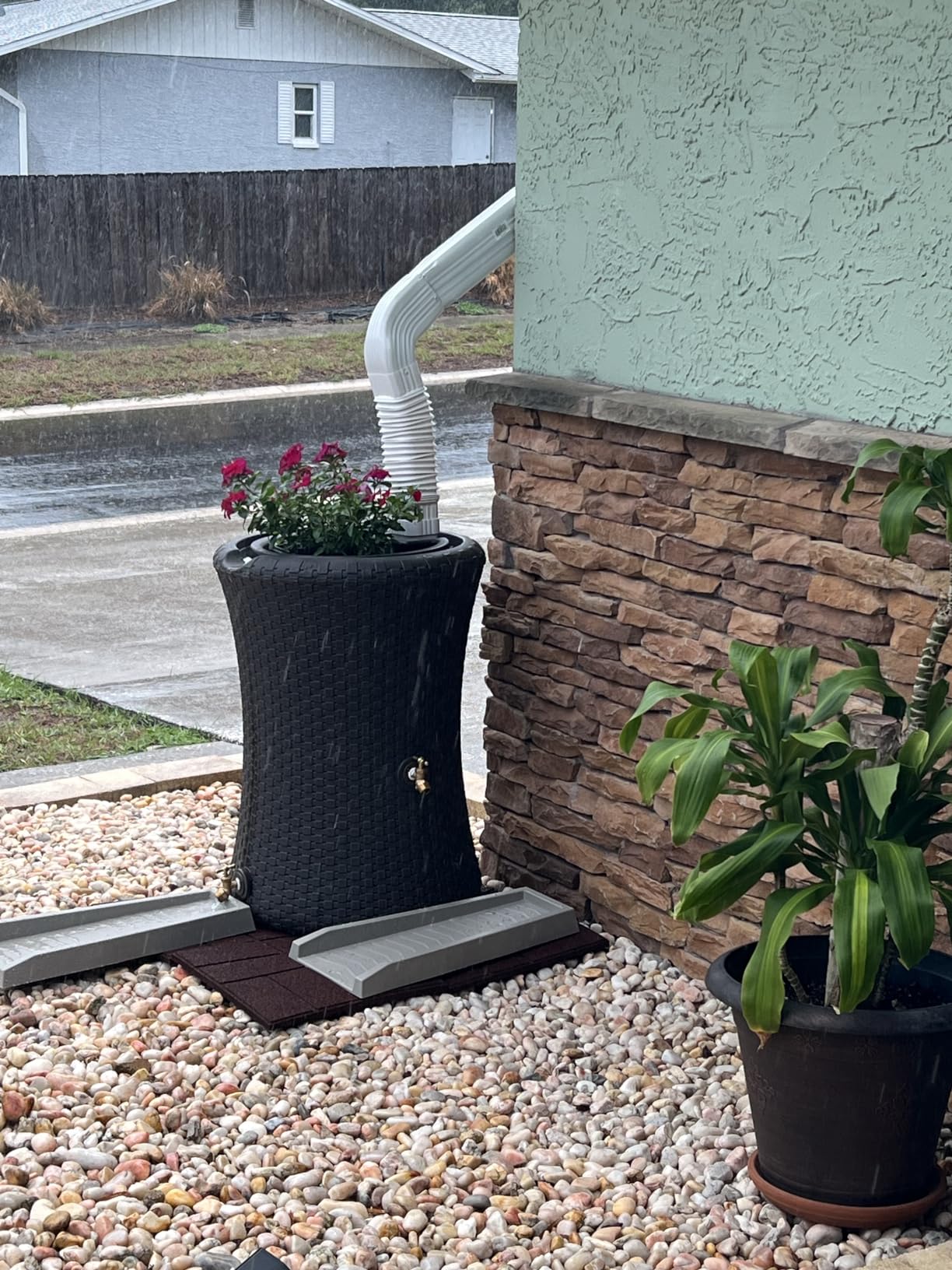 Good Ideas Impressions Nantucket Rain Water Collection Barrel, 50 Gallon customer photo 1