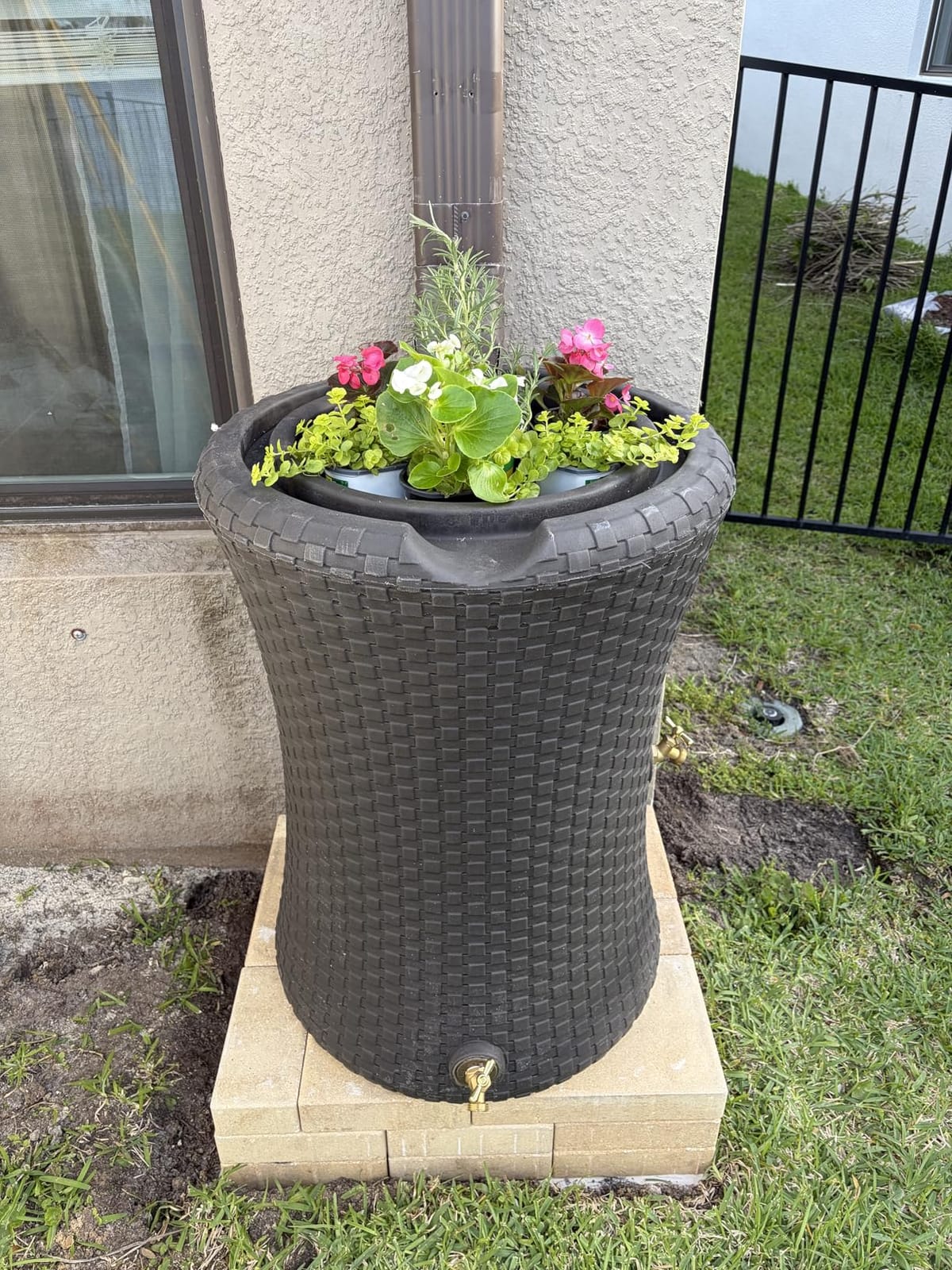 Good Ideas Impressions Nantucket Rain Water Collection Barrel, 50 Gallon customer photo 2