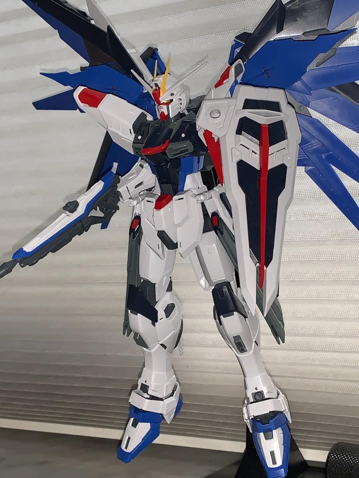 Bandai Hobby MG Freedom Gundam (Ver. 2.0) Gundam Seed 1/100 customer photo 1