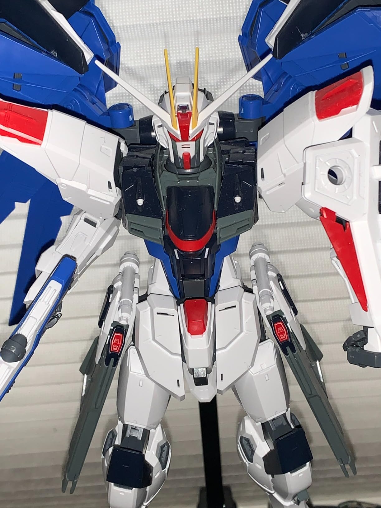 Bandai Hobby MG Freedom Gundam (Ver. 2.0) Gundam Seed 1/100 customer photo 2