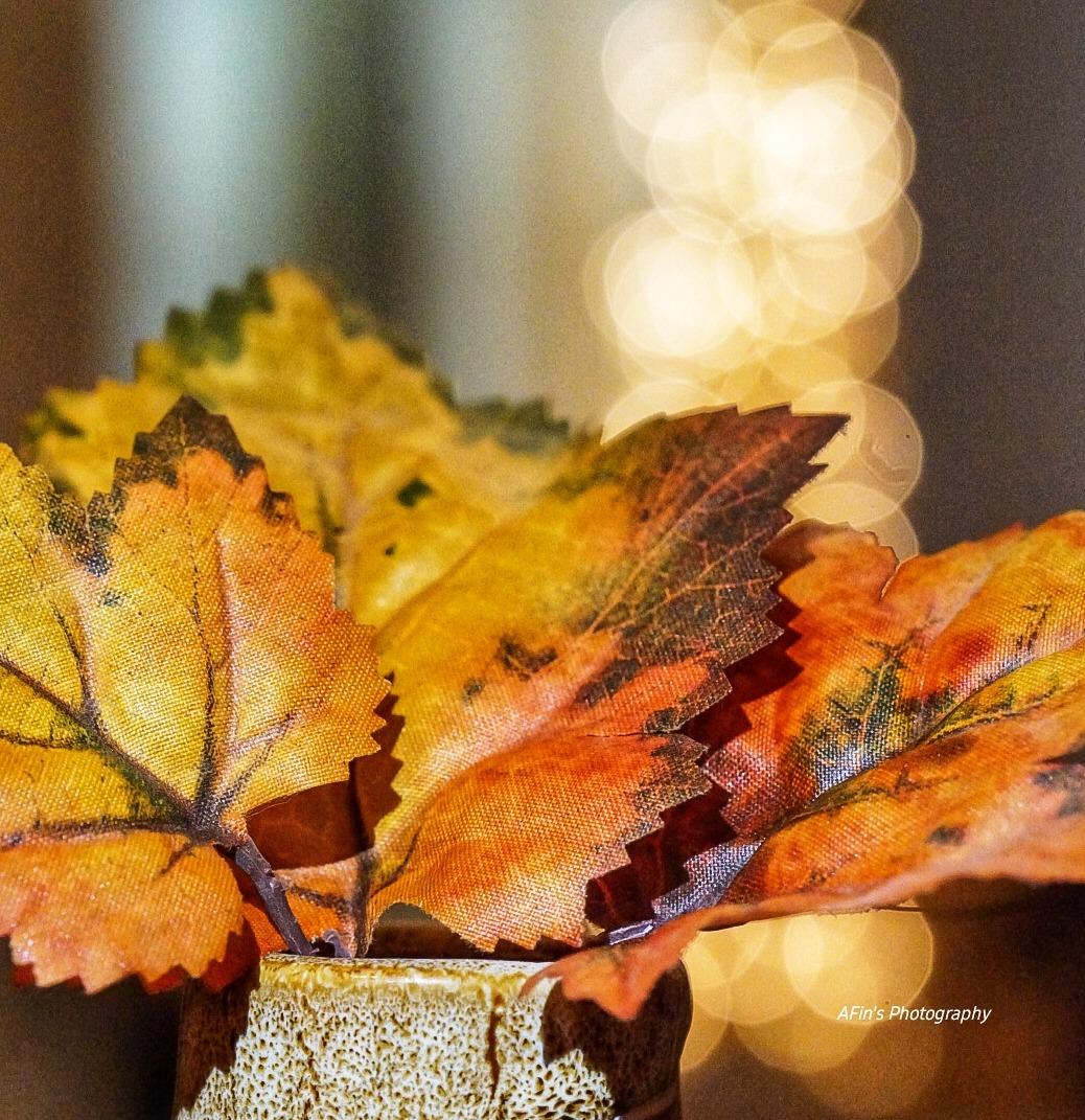 Sony SEL100F28GM 100mm f/2.8 STF GM OSS E-Mount Medium Telephoto Macro Lens customer photo 2