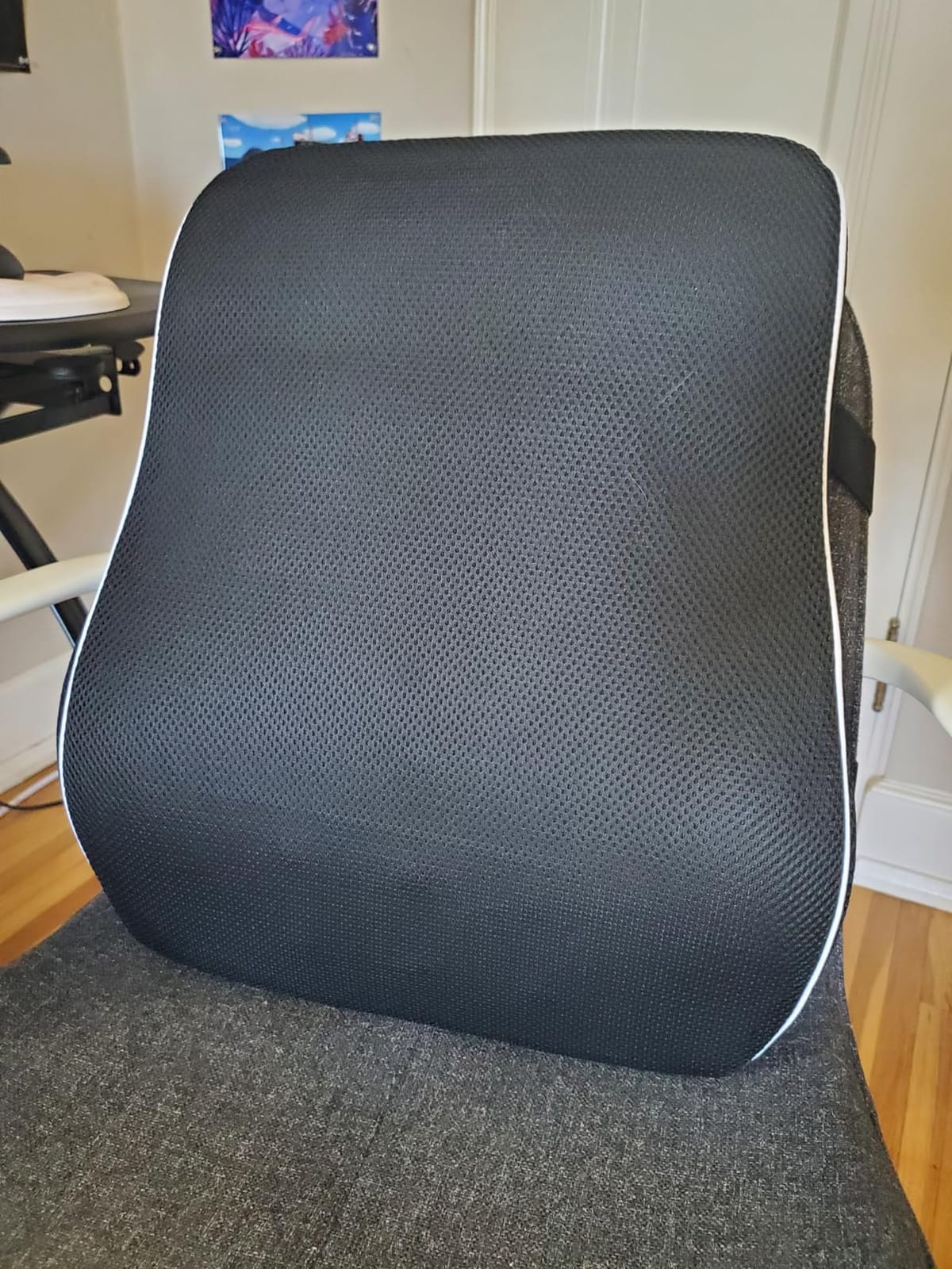 Lumbar Support Pillow for Office Chair, Office Home Essentials,Gifts for Mom,Dad, Back Support Pillow for Car, Chair Cushions,Back Pain Relief Improve Posture,Mesh Cover Double Adjustable Straps customer photo 1