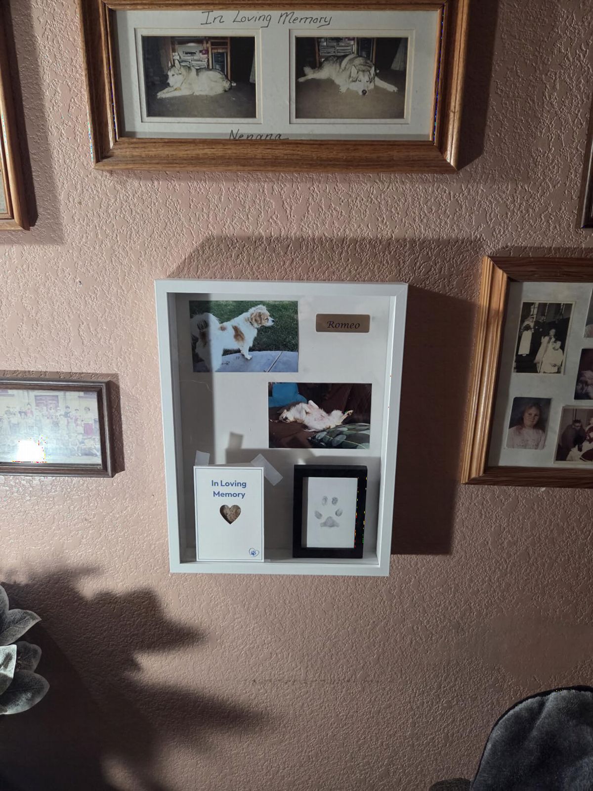 Americanflat 11x14 Shadow Box Frame with Shatter-Resistant Glass - Silhouette Collection - Large Shadow Box Display Case for Tabletop and Wall Display - Black with Soft Felt Back customer photo 2