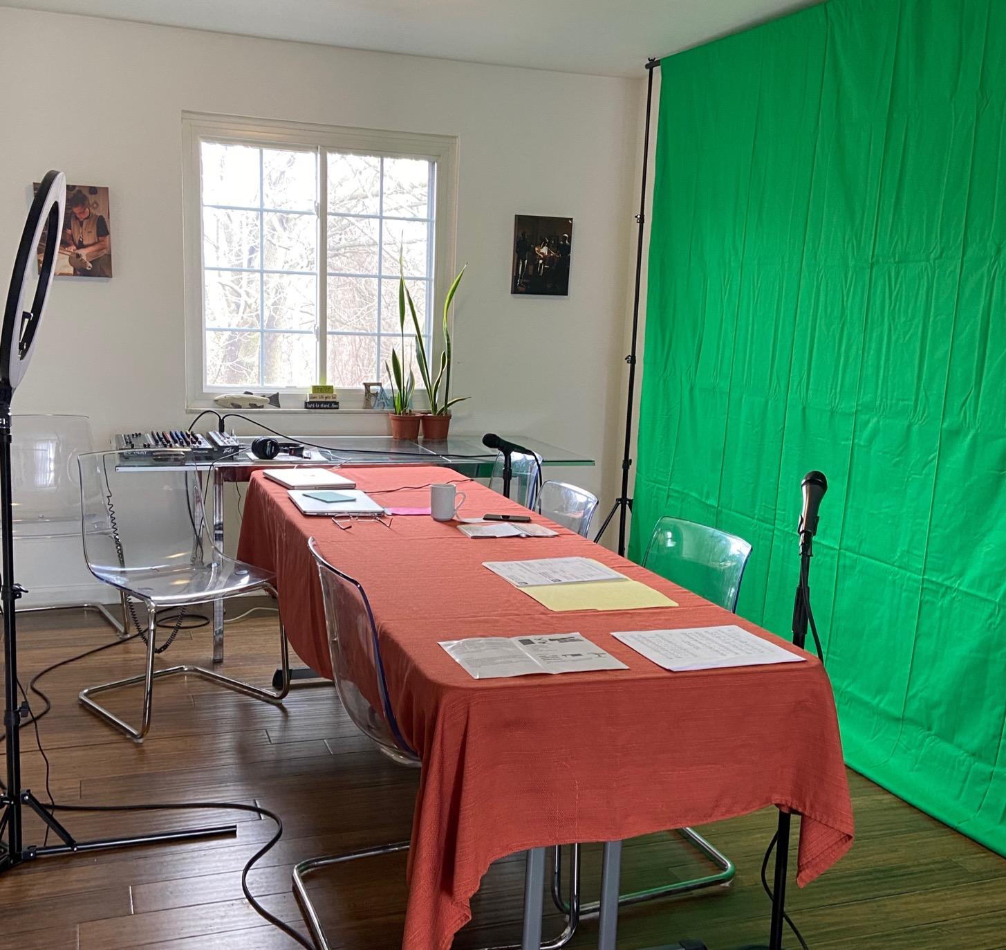 EMART 8.5 x 10ft Green Screen Backdrop Kit with Tripod Stand, Photography Background Support System with 10 x12ft 100% Cotton Muslin Chromakey Backdrop for Photo Studio, Video Shooting, Live Streaming customer photo 2