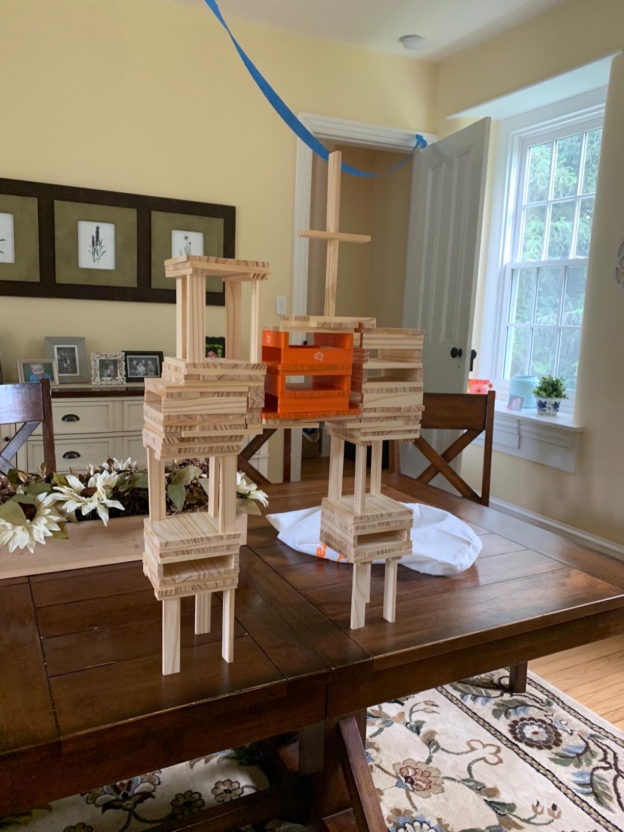 Fat Brain Toys Timber Planks 300 Piece Set - Wooden STEM Construction Set, Ages 3+ customer photo 1