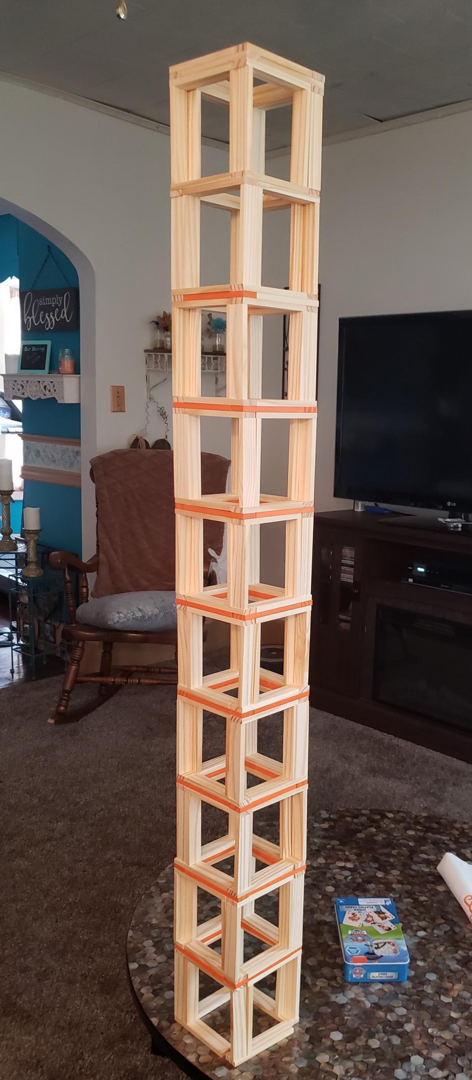 Fat Brain Toys Timber Planks 300 Piece Set - Wooden STEM Construction Set, Ages 3+ customer photo 2