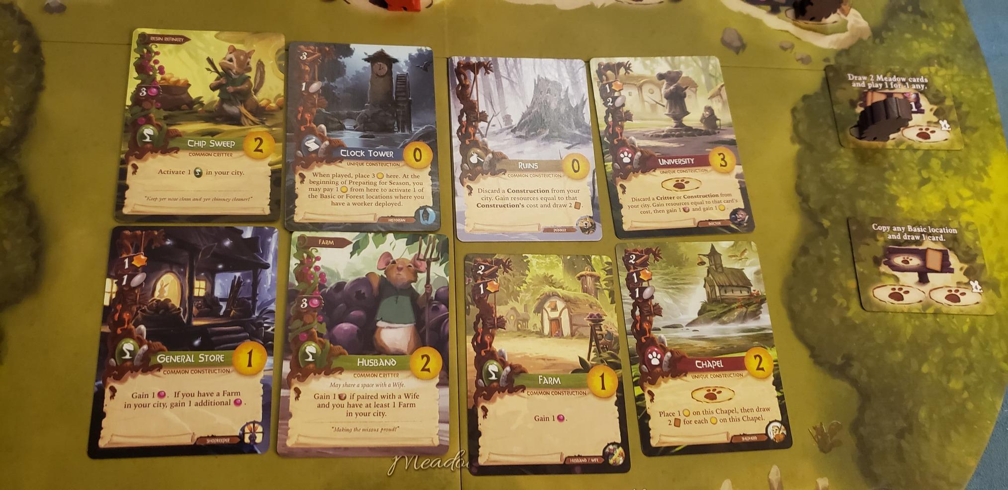Everdell Old Edition customer photo 2