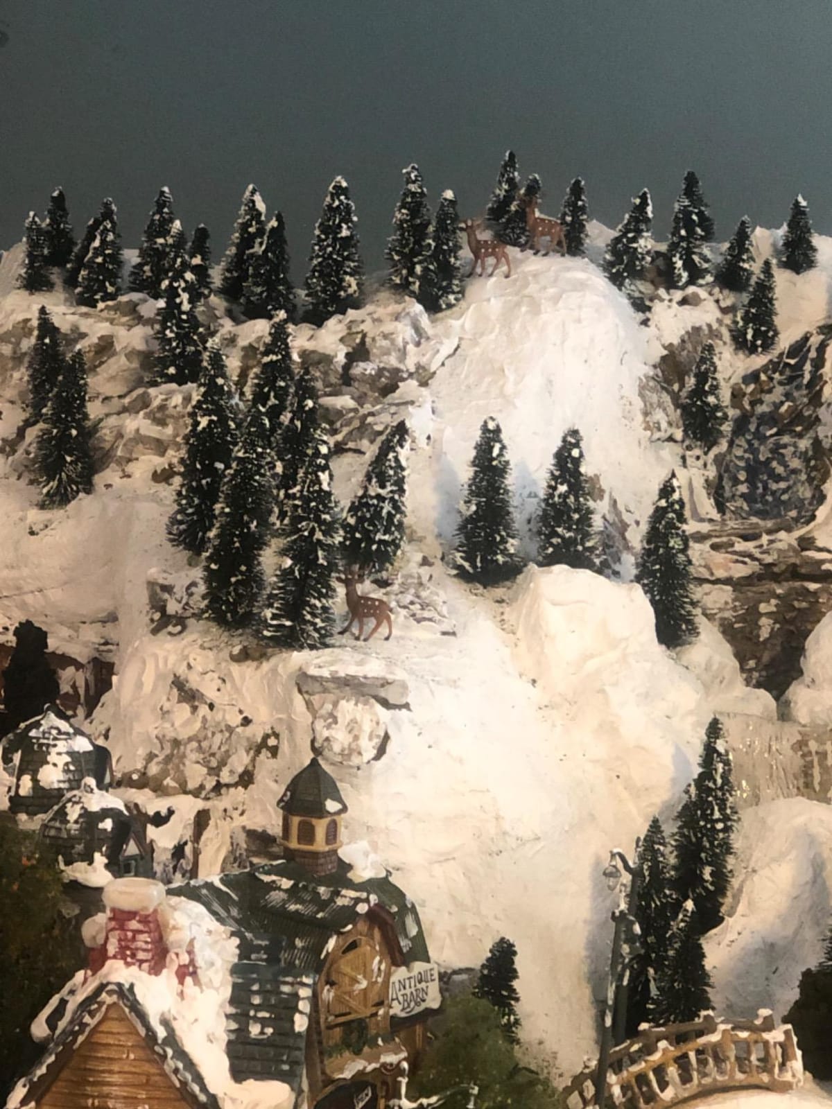 S0804 40pcs Dark Green Pine Model Cedar Trees for Model Railroad Scenery customer photo 1