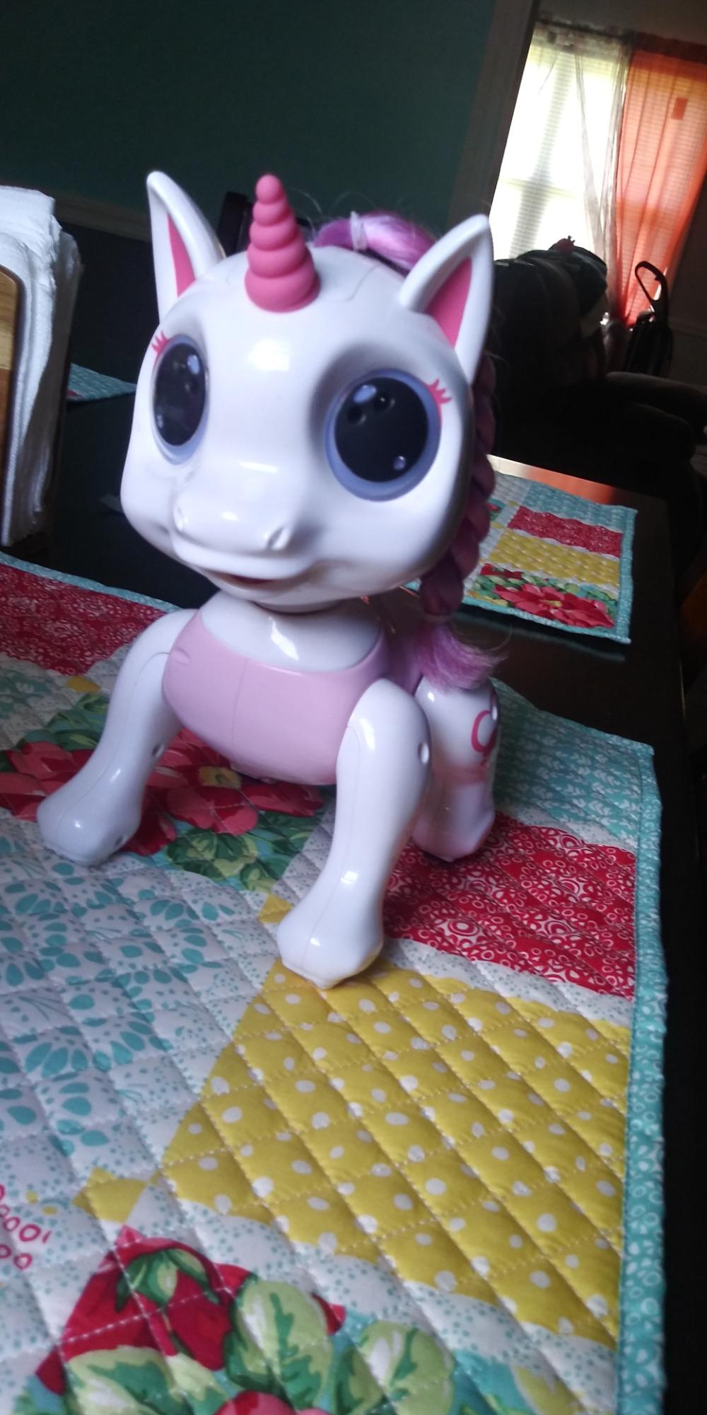 Robo Pets Robot Dog Toy for Girls and Boys - Remote Control Robot Toy Puppy with LEDs, Sound FX, Interactive Hand Motion Gestures, STEM Program Treats, Dancing and Walking RC Pet (Blue) customer photo 1