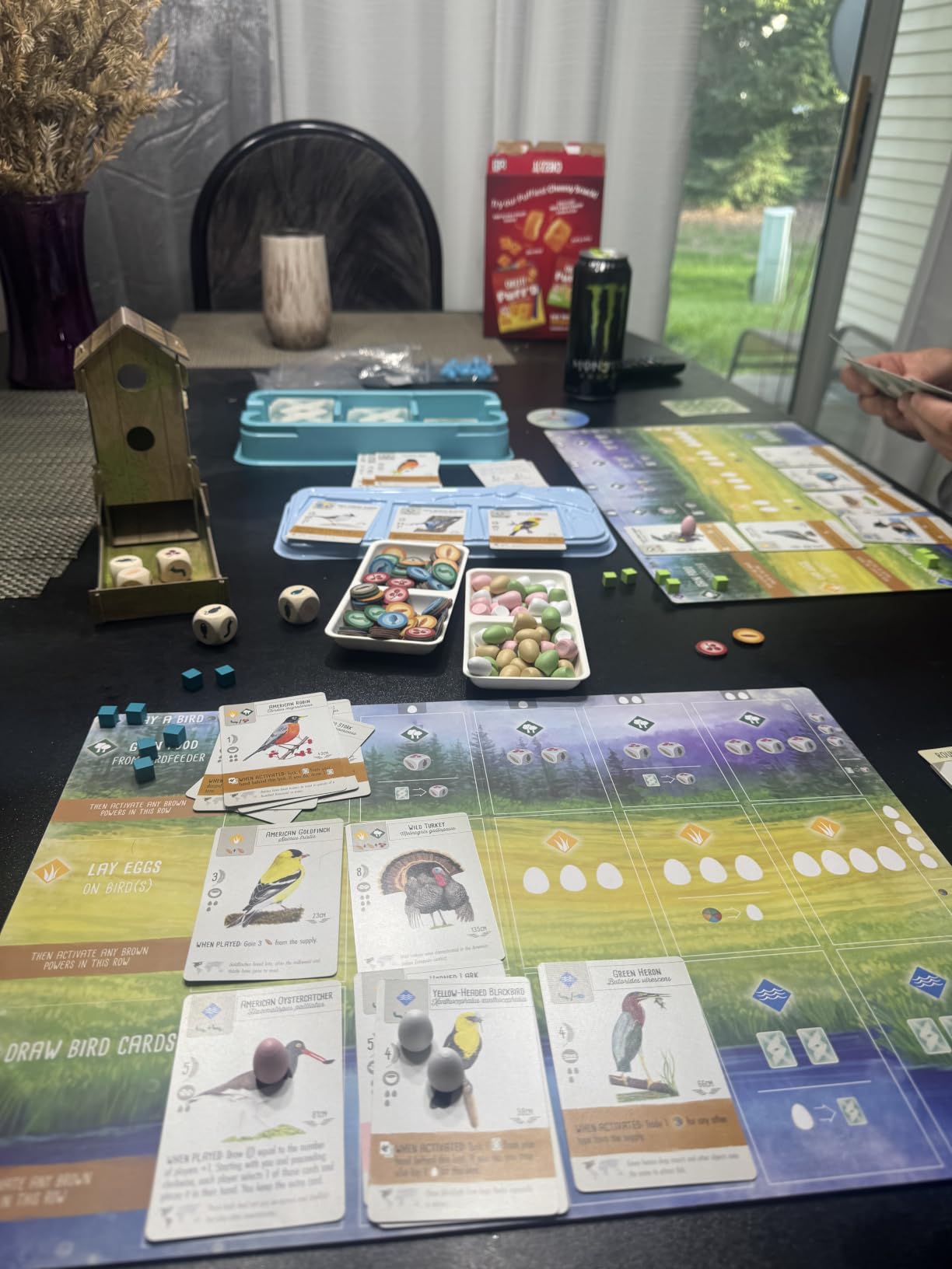 Stonemaier Games: Wingspan (Base Game) by Elizabeth Hargrave | A Relaxing, Award-Winning Strategy Board Game About Collecting Birds for Adults and Family | 1-5 Players, 70 Mins customer photo 1