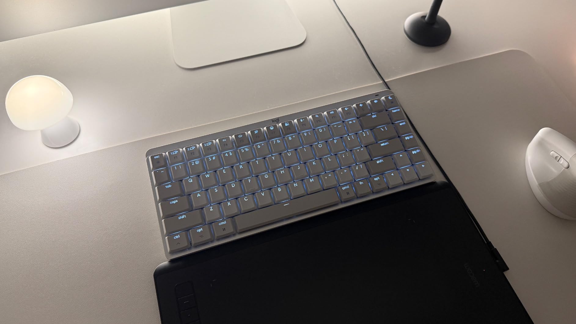 Logitech MX Mechanical Mini Mac Wireless Keyboard Low-Profile - Space Grey customer photo 2
