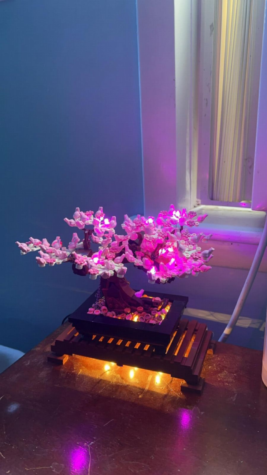 BRIKSMAX 2.0 LED Light Kit Compatible with LEGO Bonsai Tree 10281 Building Set, for Builders and Collectors, Hidden Wire Design for Home Decor,Desk Display,Gift Giving(NO LEGO) customer photo 1