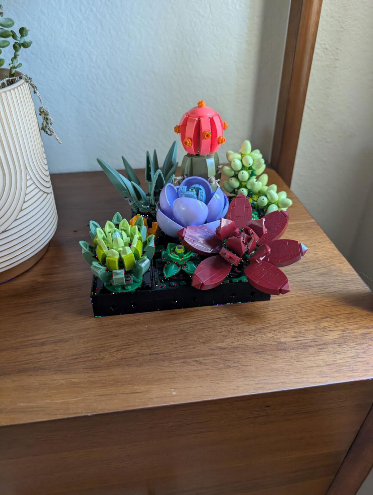 LEGO Botanicals Succulents - Artificial Indoor Plant Building Set for Home, Kitchen, Desk Decor Adults Ages 18+ - 10309 customer photo 1