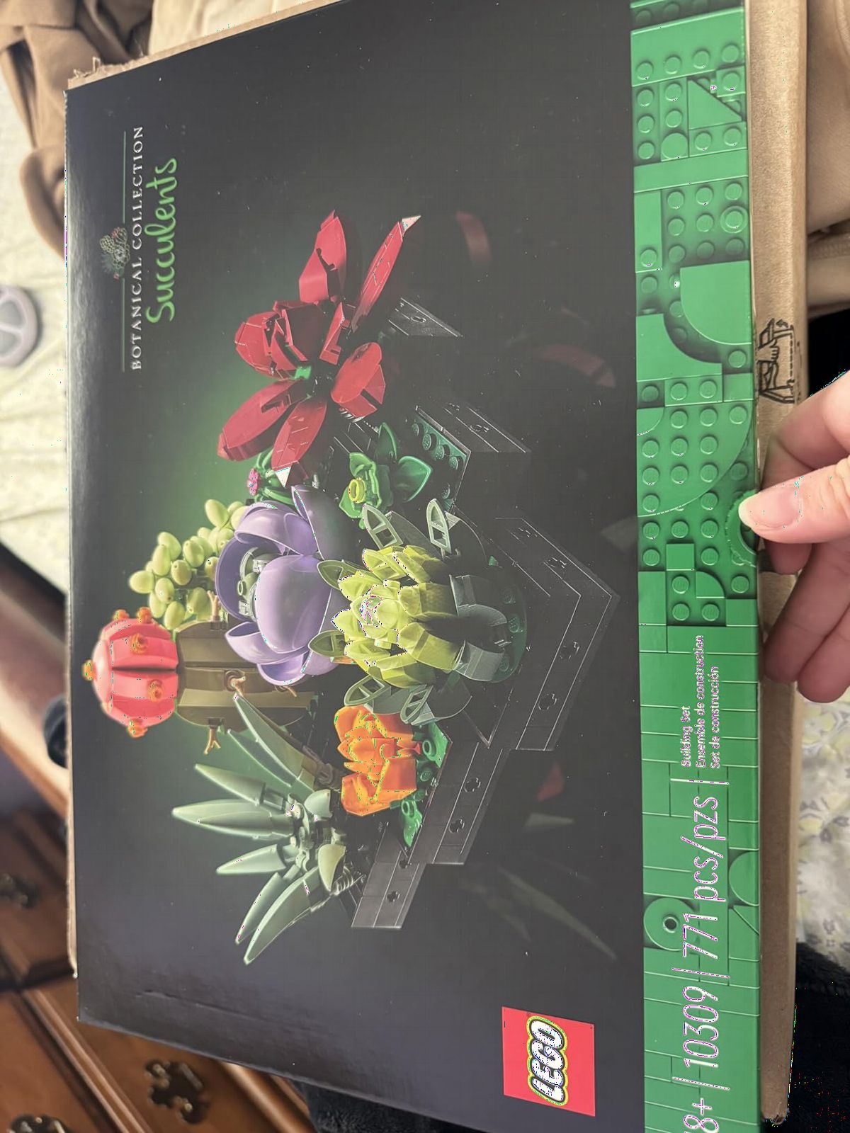 LEGO Botanicals Succulents - Artificial Indoor Plant Building Set for Home, Kitchen, Desk Decor Adults Ages 18+ - 10309 customer photo 2