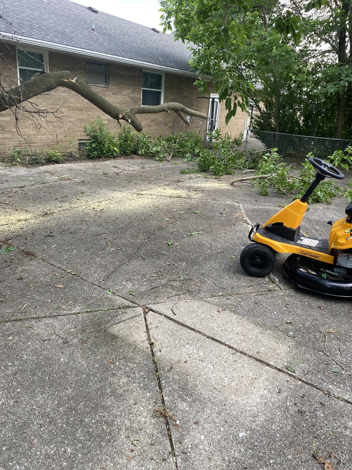 EGO POWER+ Chain Saw, 16” Battery Powered Chainsaw, Electric Cordless, Includes 56V 2.5Ah Battery and Charger – CS1611 customer photo 1