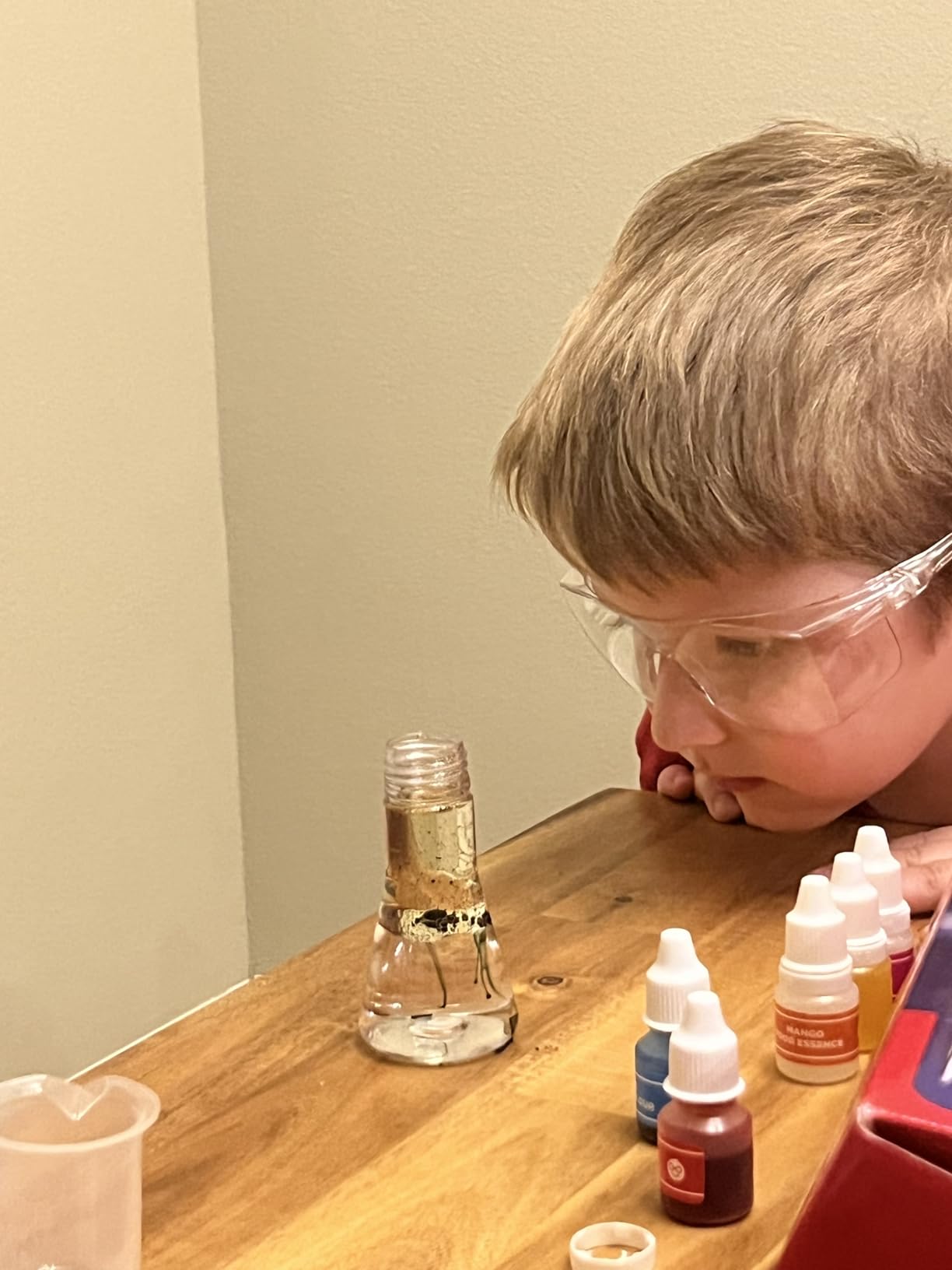 Doctor Jupiter My First Science Experiments Kit for Kids Ages 4+ | Birthday Gift Ideas for Boys & Girls 4, 5, 6, 7, 8 Year Olds, Science Kits for Kids Ages 5-7, STEM Educational Toys customer photo 1