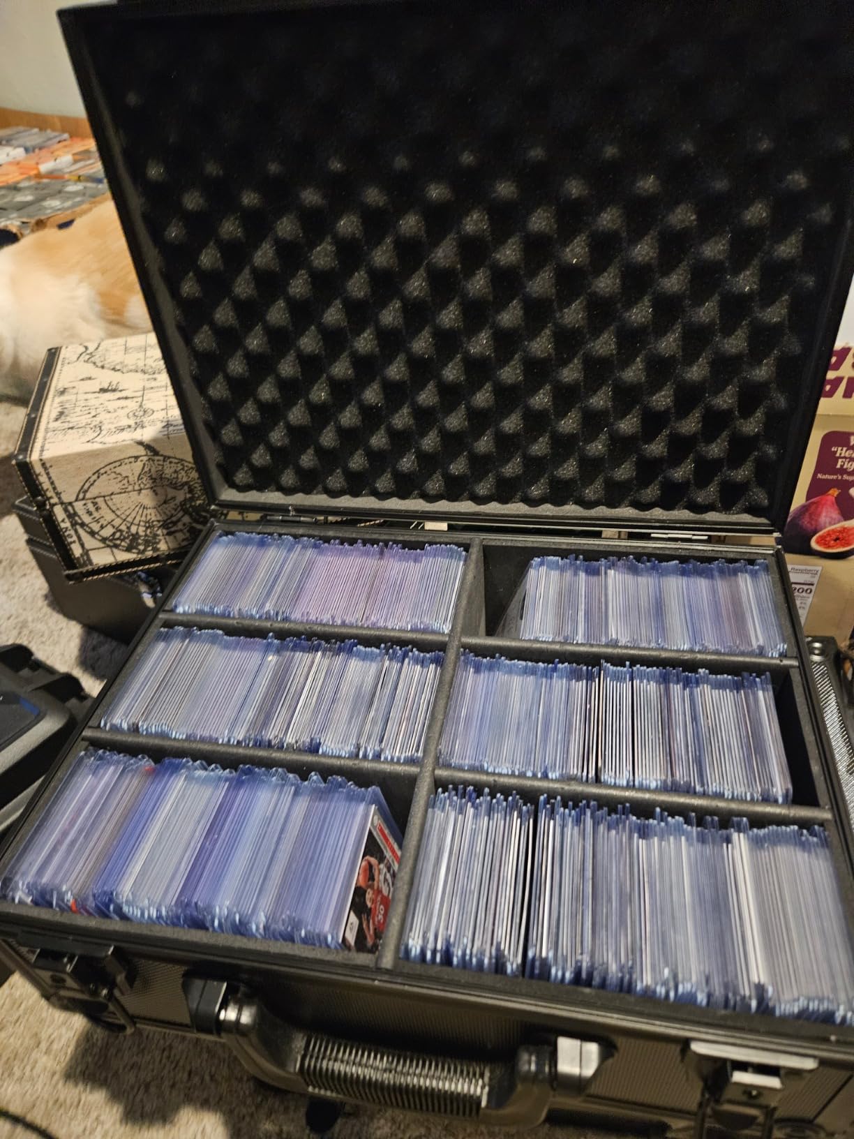 Waterproof Graded Card Storage Box for PSA CSG BGS SGC Magnetic Card Holder, Holds 100+ Slabs customer photo 2