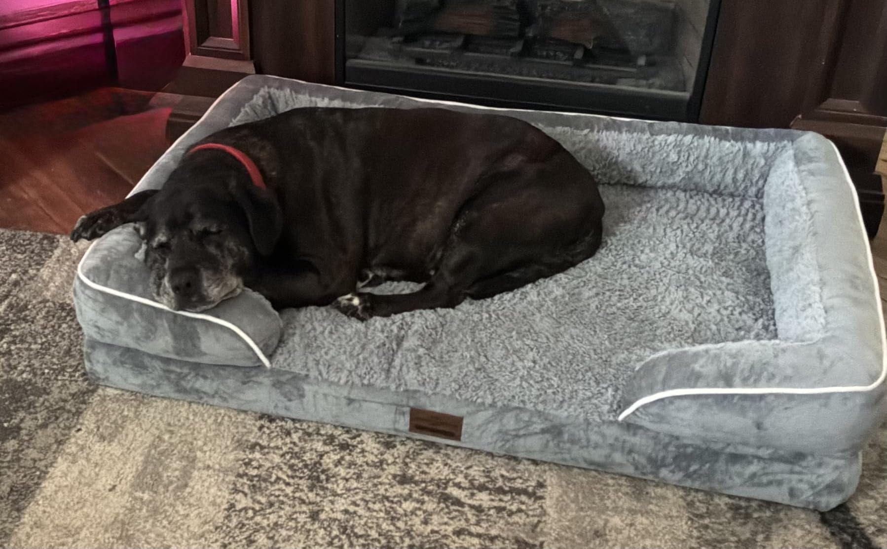 Comfort Expression Waterproof Orthopedic Dog Bed for Extra Large Dogs customer photo 2