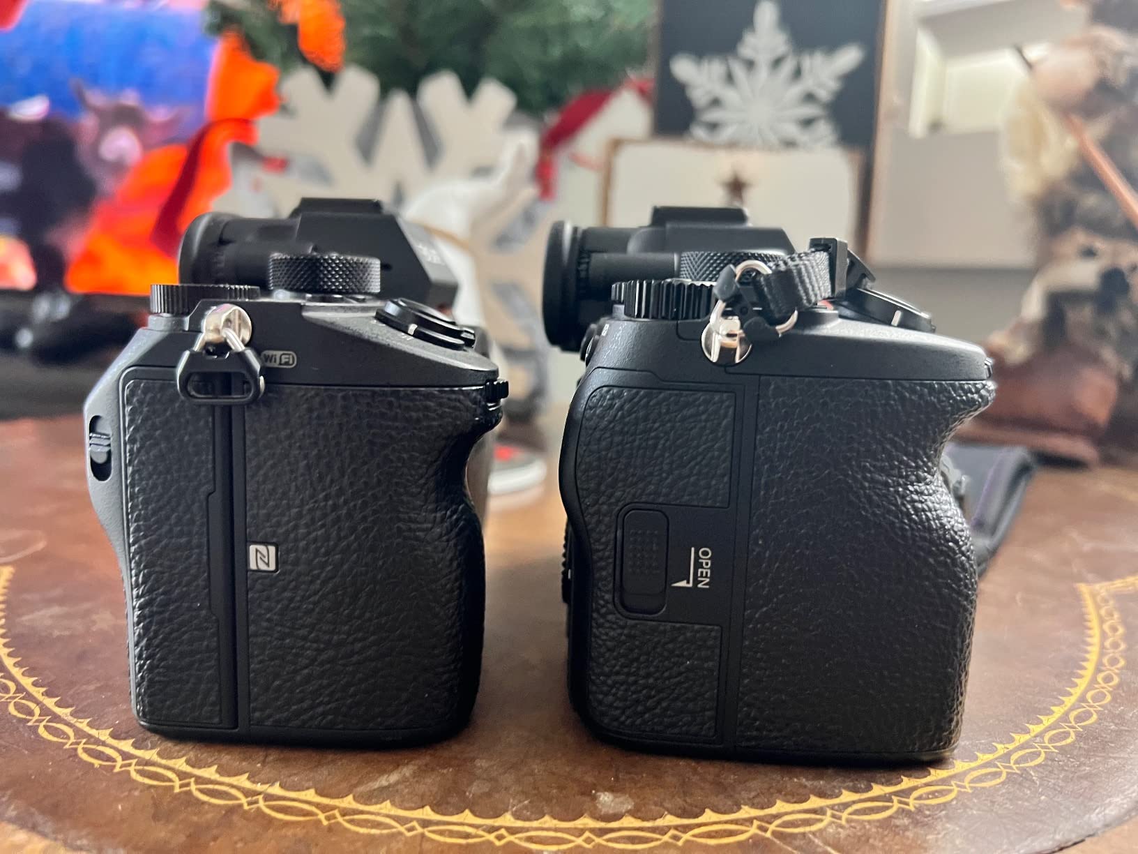 Sony Alpha 7R V Full-Frame Mirrorless Interchangeable Lens Camera Body customer photo 1