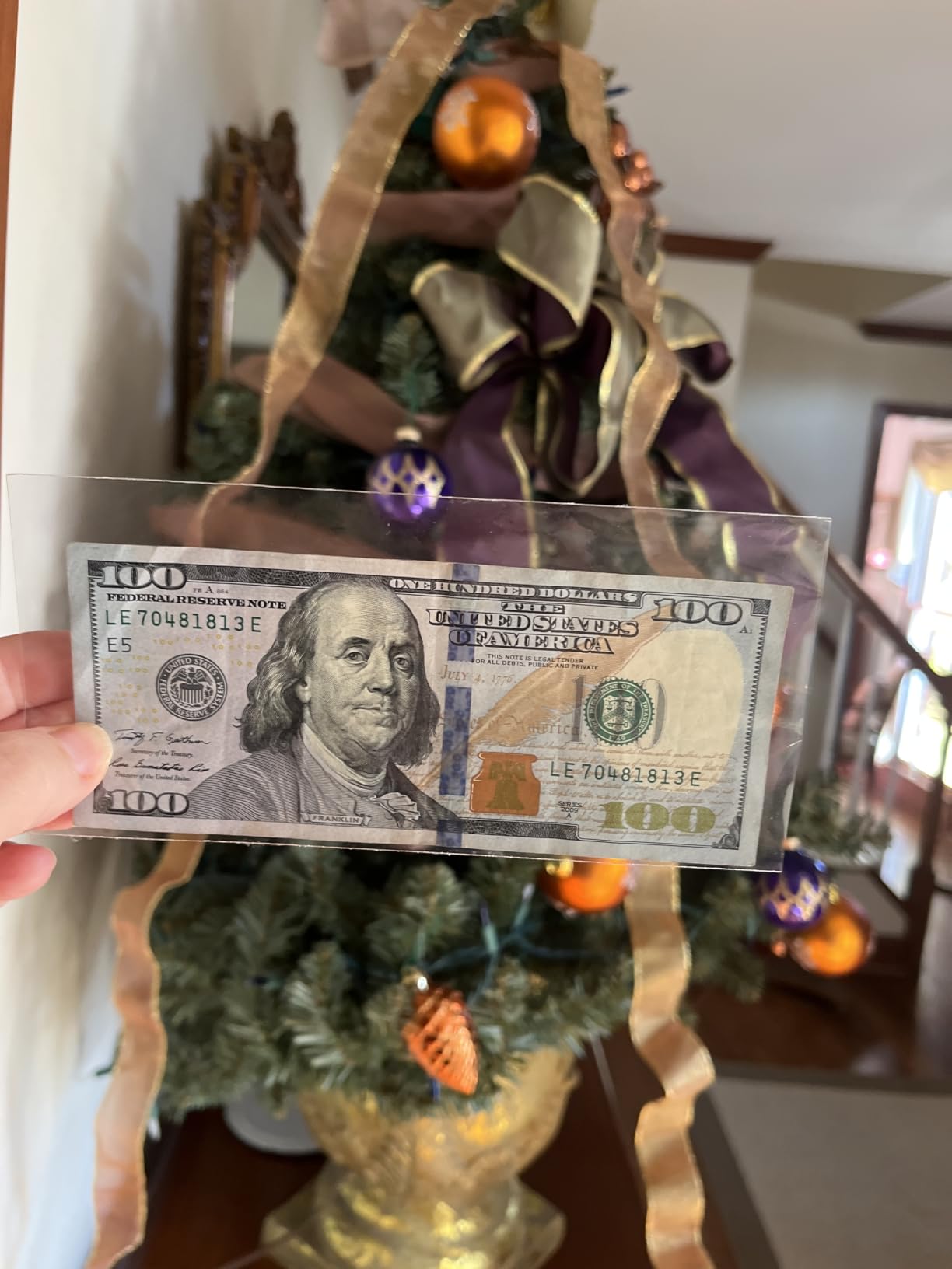 100 Pack Paper Money Holders with Plastic Storage Case, Clear Thicken Paper Money Currency Collection Sleeves Protector OPP Bag customer photo 1