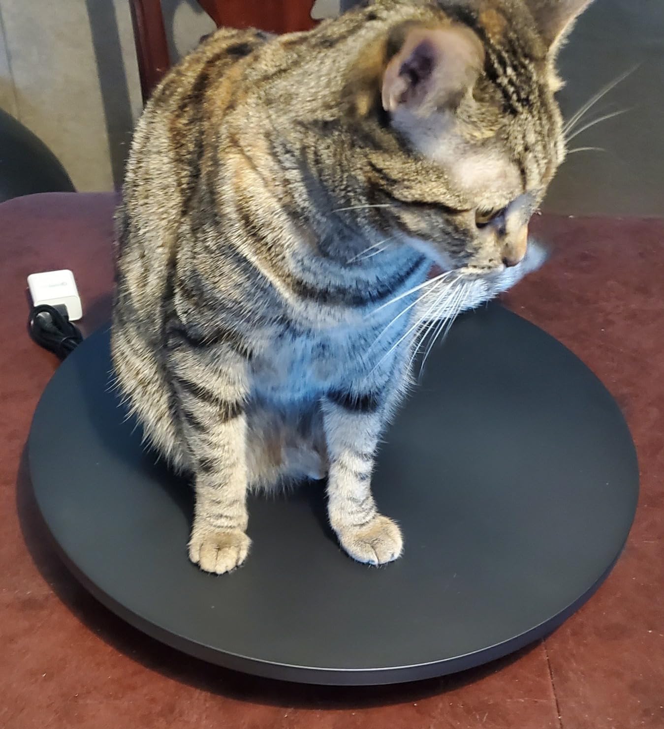 Cordless & Rechargeable Photography Turntable 16.5inch/220lbs | Motorized Rotating Display Stand 360 Degree with Remote Control Electric Turntable for Products Photo or Short Video (Black) customer photo 1