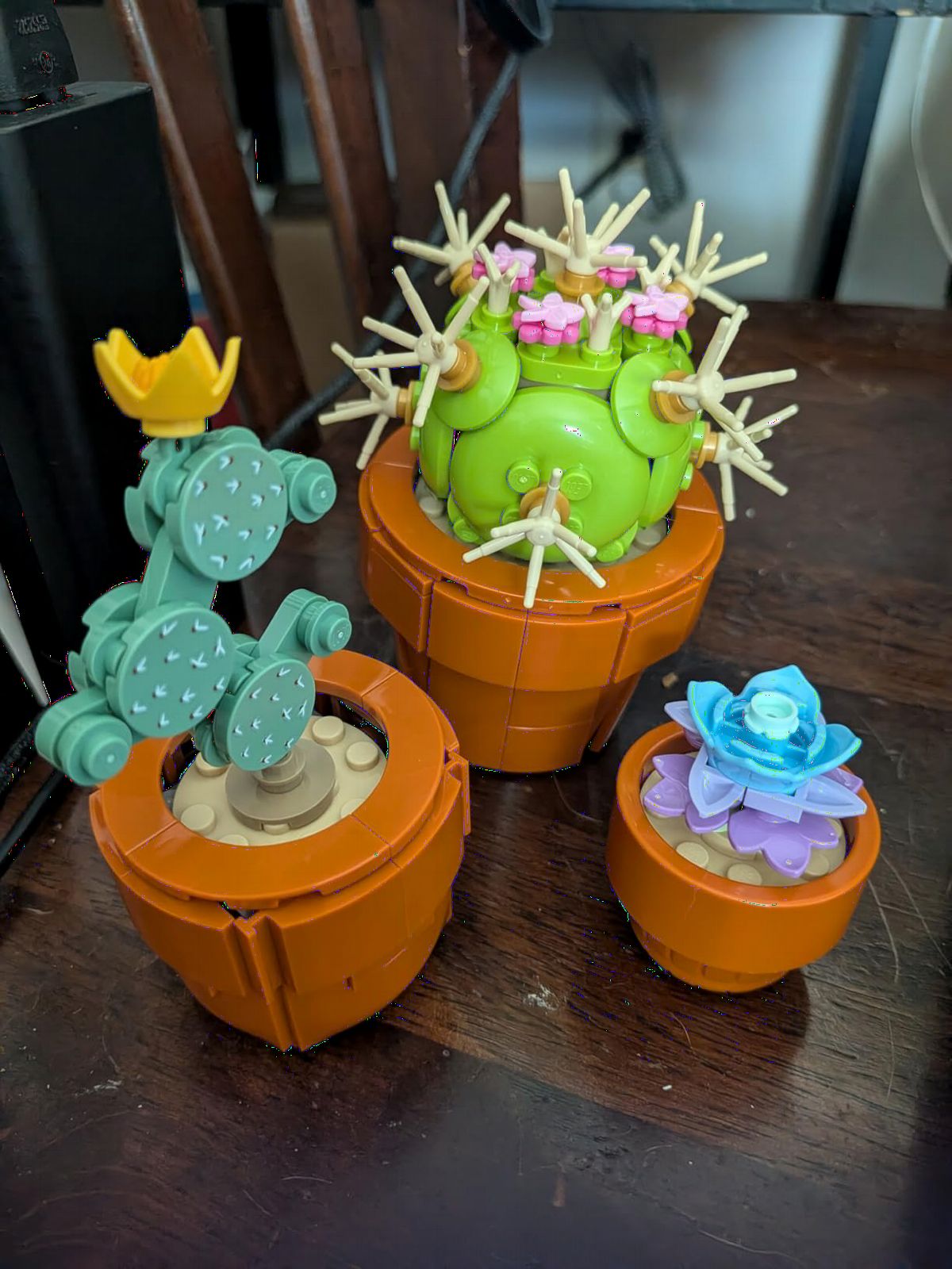 LEGO Botanicals Tiny Plants - Artificial, Fake Indoor Plant Building Set for Home, Kitchen, Desk Decoration, Adults Ages 18+ - 10329 customer photo 2