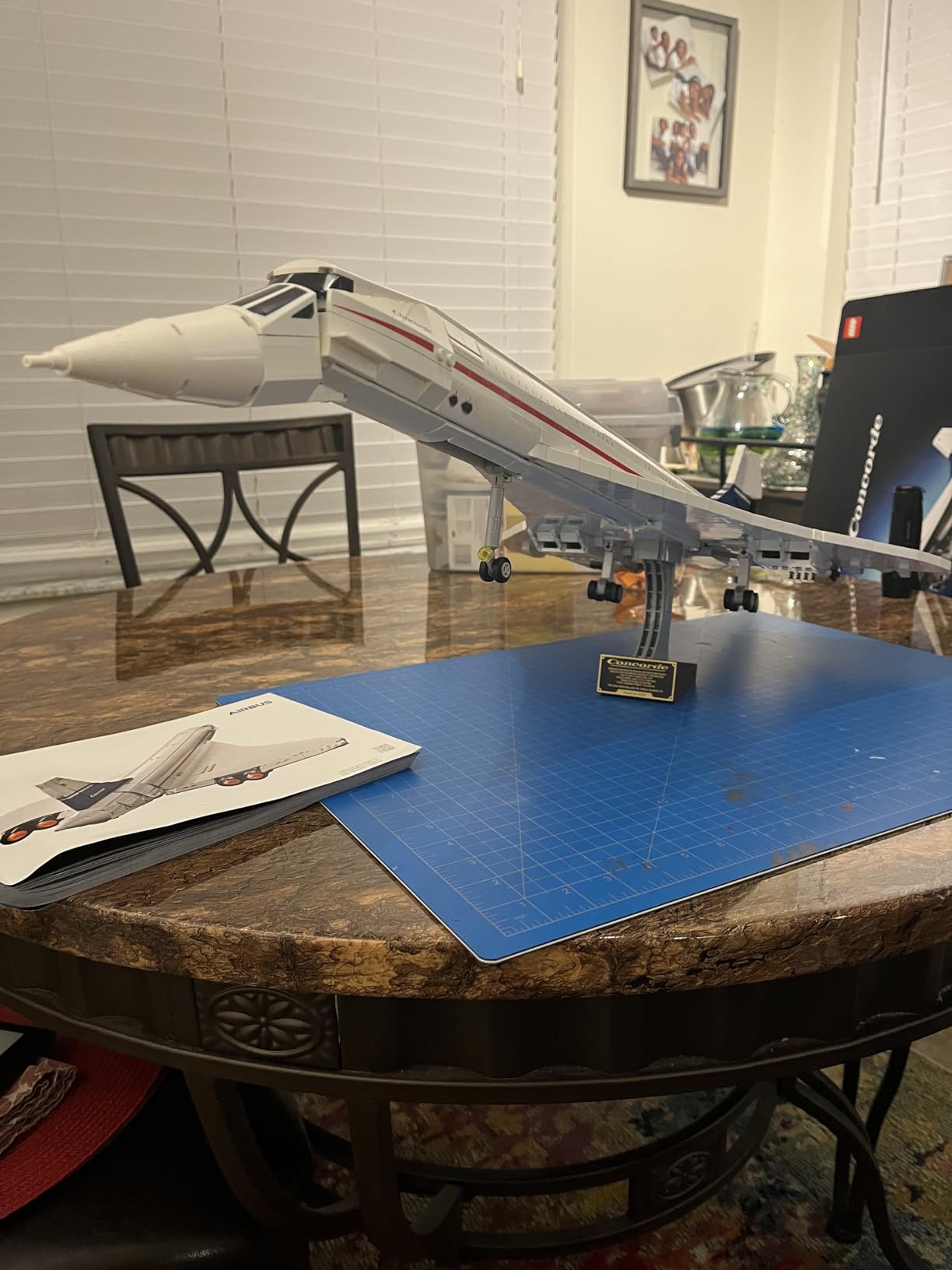 LEGO Icons Concorde Model Aircraft, Gift for Adults, Build a Replica Model of the World's Most Famous Supersonic Commercial Passenger Plane with Authentic Details and Functional Pieces, 10318 customer photo 1