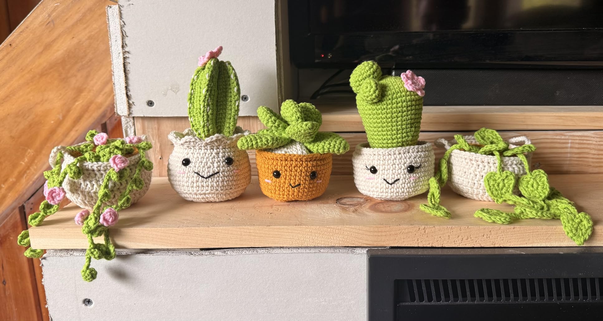 MAGIMUSE Crochet Kit for Beginners, Crochet Starter Kits, Amigurumi Craft Knitting Crocheting Kits with Step-by-Step Video Tutorials, 6 Pack Hanging Potted Plants Family(40%+ Yarn) customer photo 1