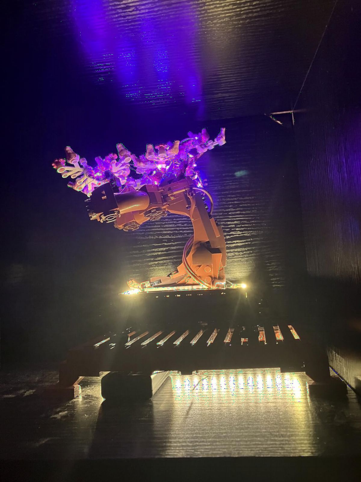 LED Lighting Compatible with LEGO Bonsai Tree 10281 - JUST Lights, Light Kit Compatible with LEGO 10281, Giving Light to Model, NOT Included The Model Set (Customized Version) customer photo 2