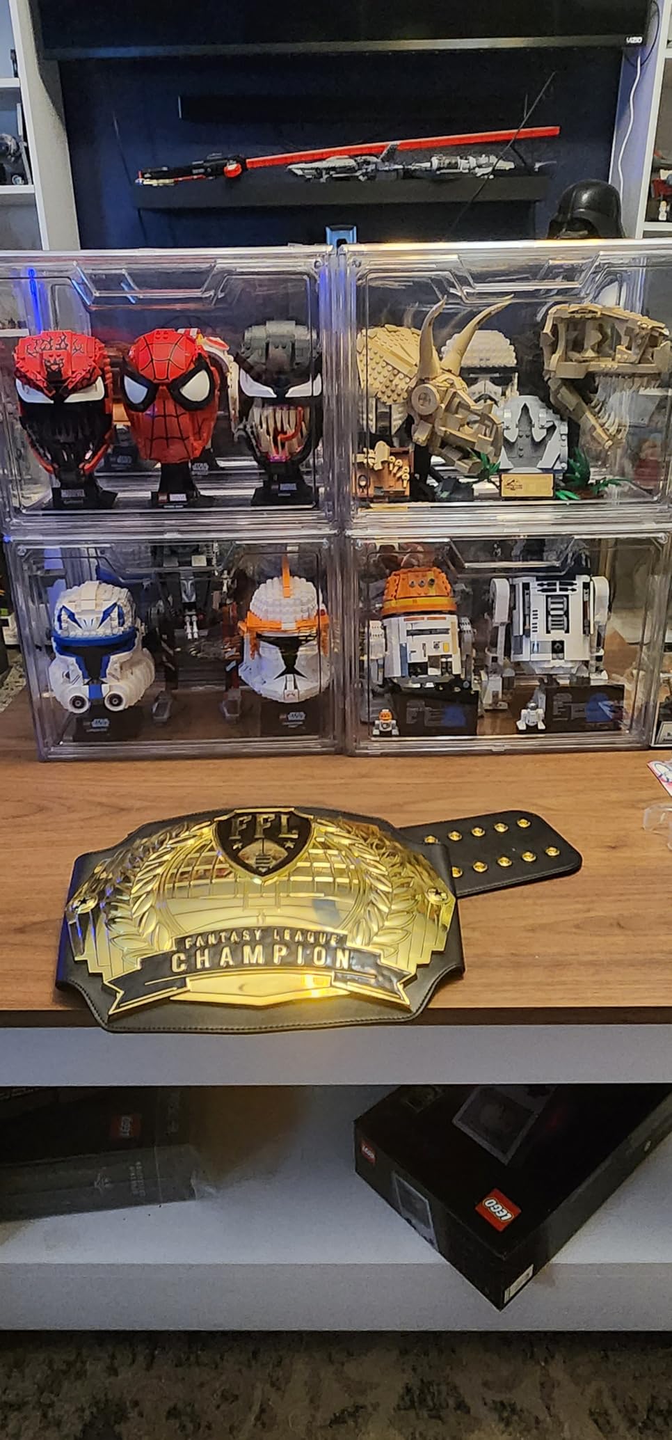 Stackable Acrylic Display Case, Clear Storage Bins with Lid for Collectibles customer photo 1