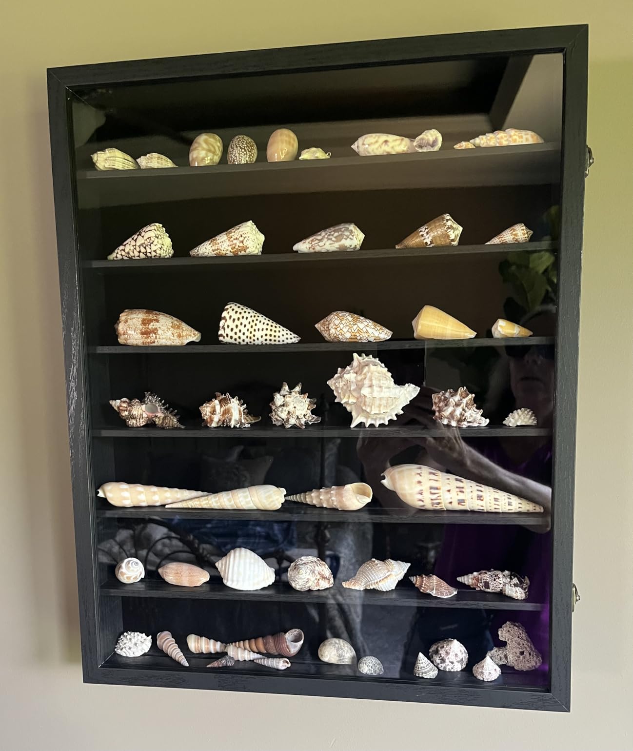 FramePro Shadow Box Frame Display Case 12x16 with Removable Shelves, Deep Memory Box Trinket Knick Knack Shelf Cabinet for Collector, Keepsake Coins Military Medals Wedding Flowers Real Wood customer photo 1