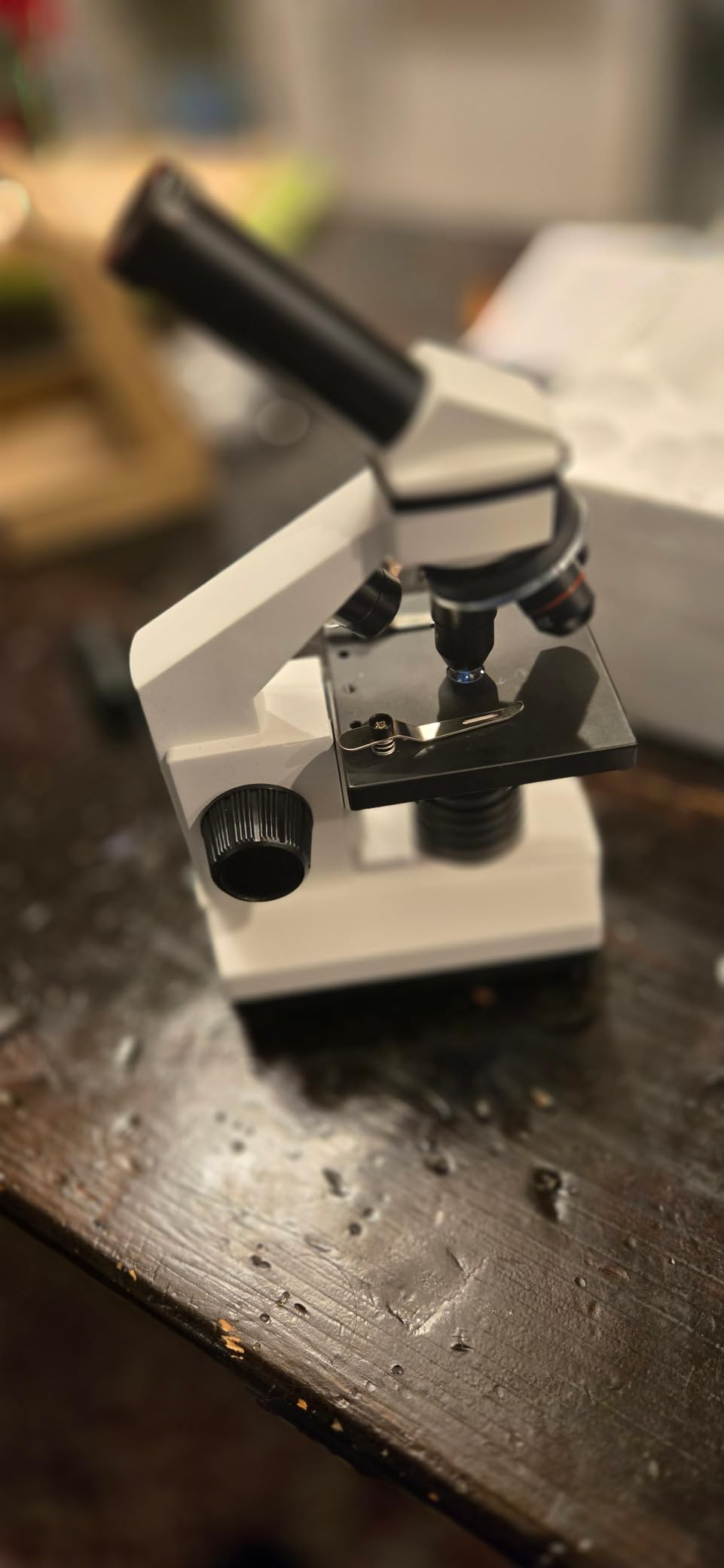 Microscope for Adults Professional: Compound Microscope for Kids 8-12, 100X-2000X Kids Microscope Kit with Prepared Microscope Slides and Covers, Plant Stereo Microscopes for Kids Homeschool Lab customer photo 2