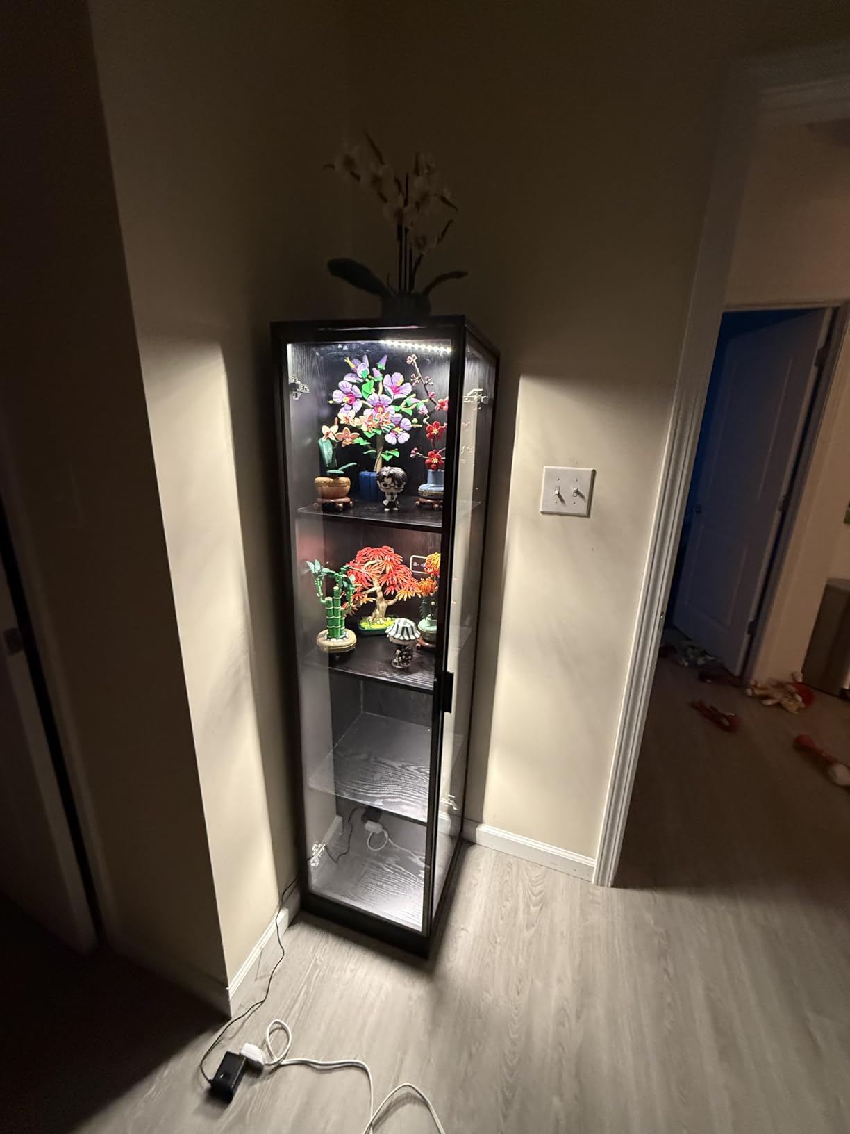 BROTTAR Corner Display Cabinet with Doors, 4-Tier, 3 Color Light, Black | Curio Cabinet, Display Case for Collectibles, Storage Cabinets with Door, Bookcase with Human Body Sensor customer photo 1
