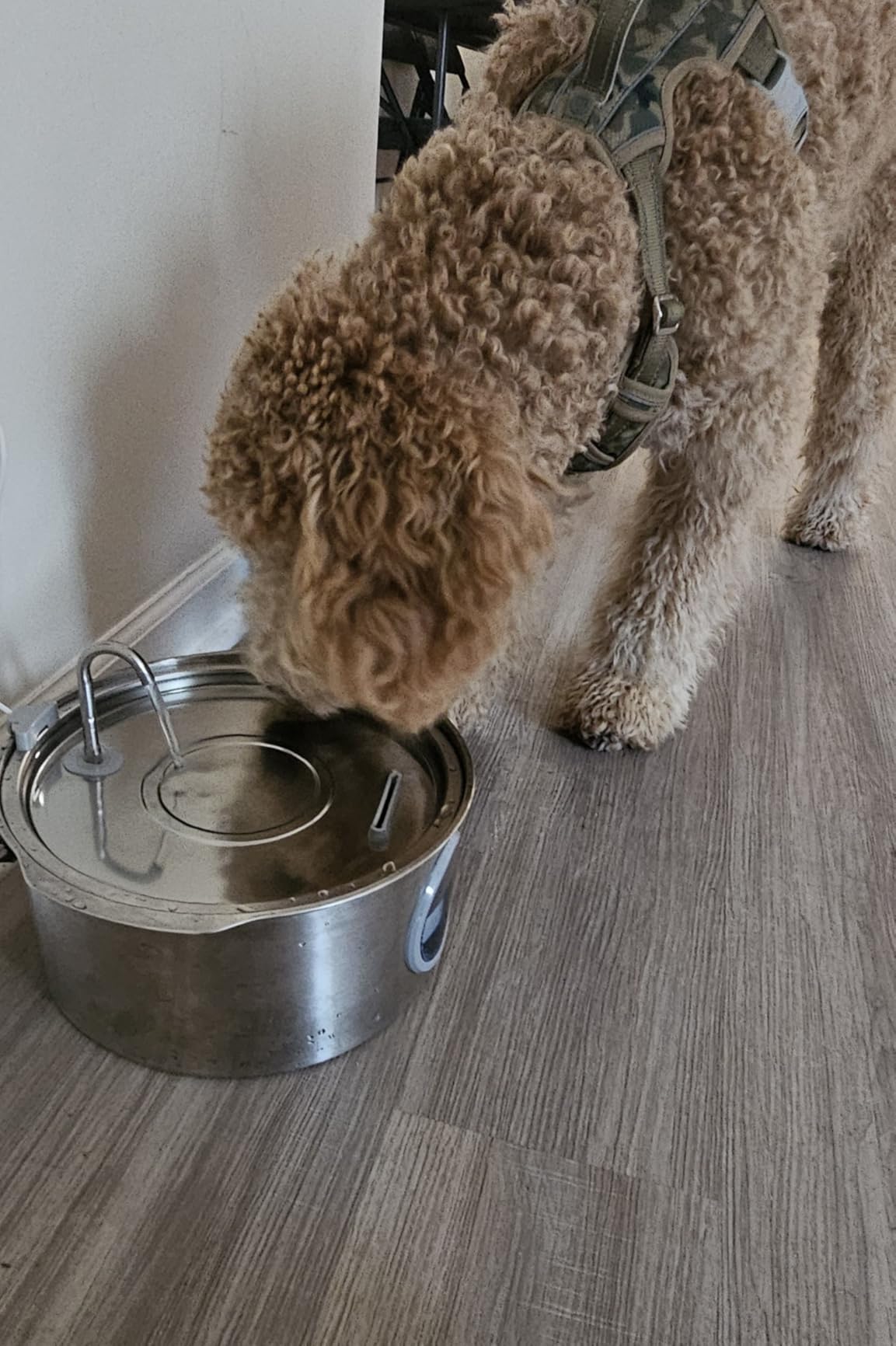 Dog Water Fountain for Large Dogs: 7L/236oz/1.8G Dog Fountain customer photo 1