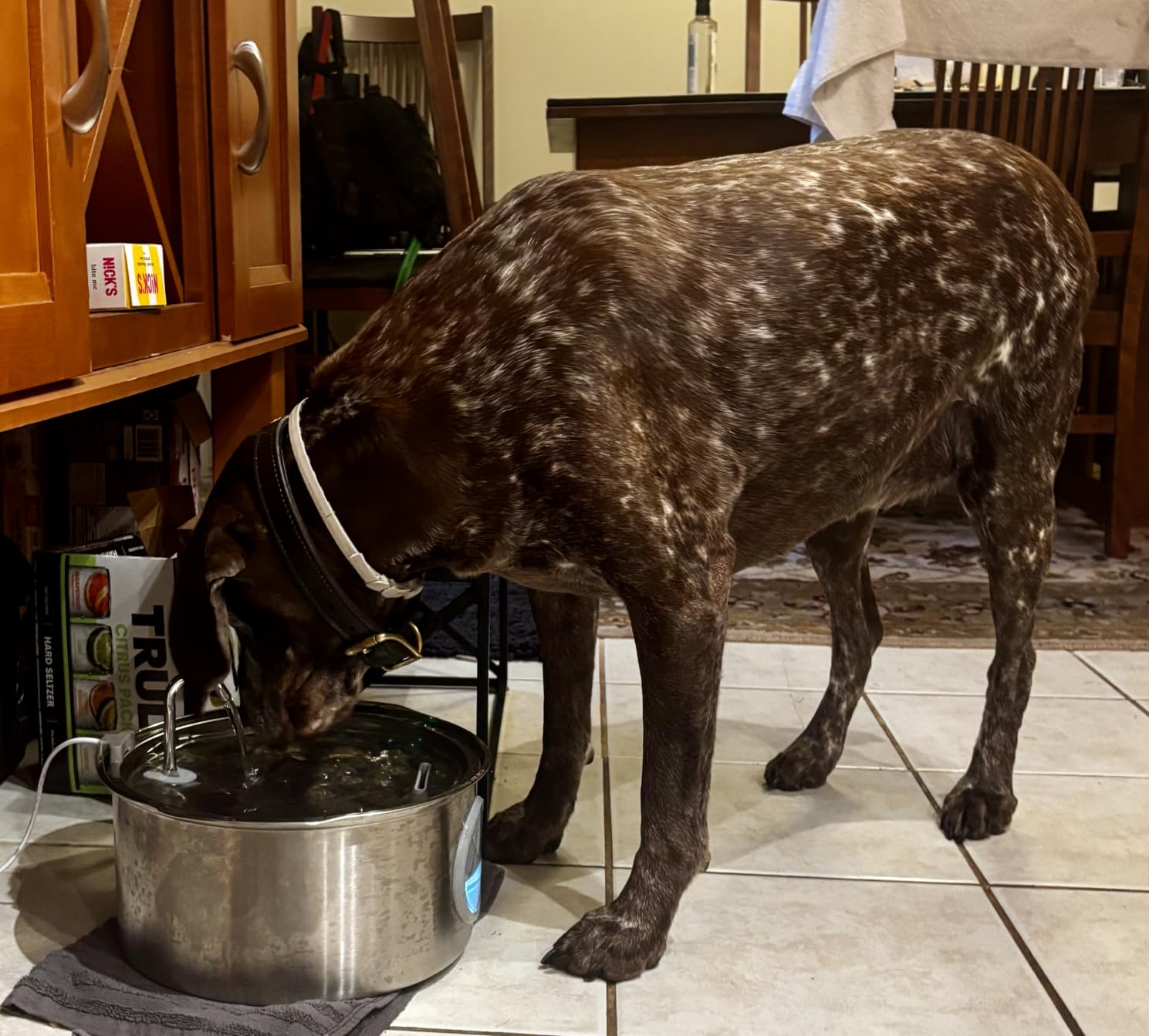 Dog Water Fountain for Large Dogs: 7L/236oz/1.8G Dog Fountain customer photo 2