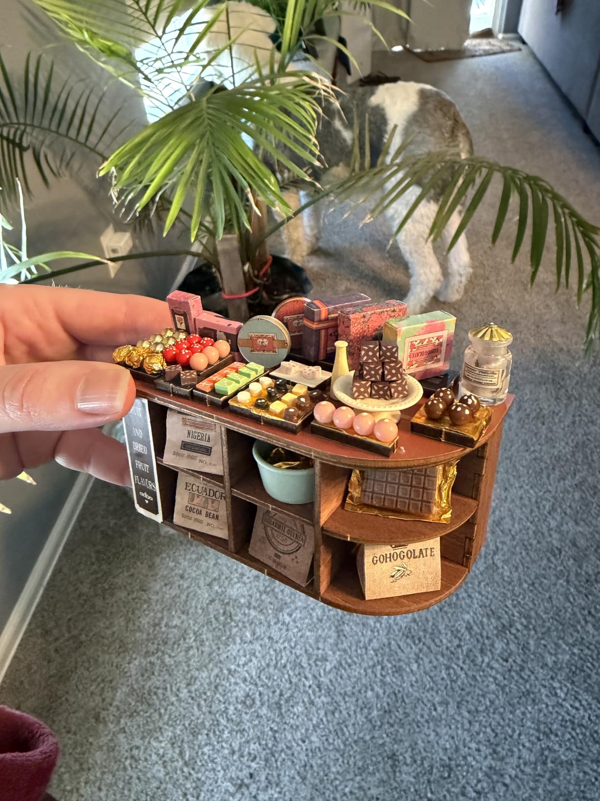 Rolife DIY Miniature House Kit Henry's Chocolate Shop 1:18 Scale Dollhouse Diorama, Tiny House Building Kit Crafts for Adults Home Decor Gift for Adults Him Her customer photo 2