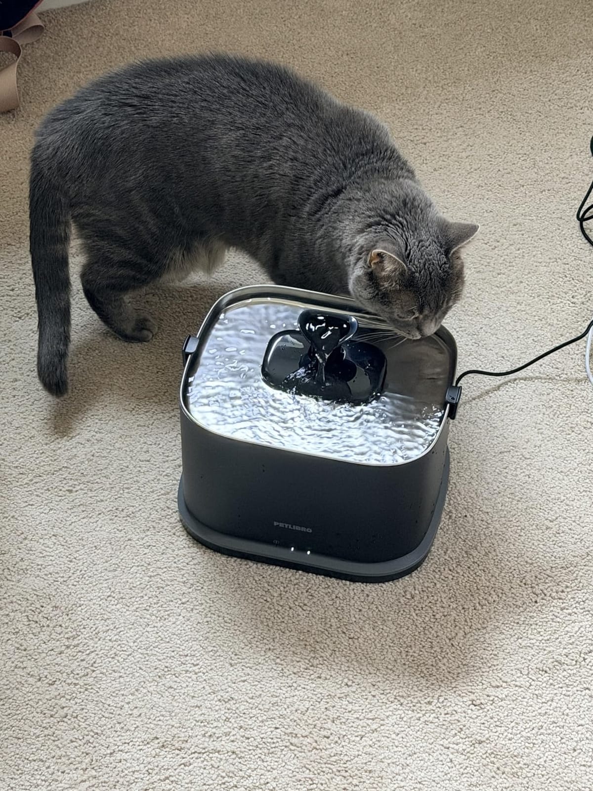 PETLIBRO Upgrade Cat Water Fountain Stainless Steel Tray, Dockstream 2 Cat Fountain Indoor, 3L/101oz Auto Cat Fountains for Drinking, App Monitoring Pet Water Fountain Dog, 5G WiFi Cat Water Dispenser customer photo 1