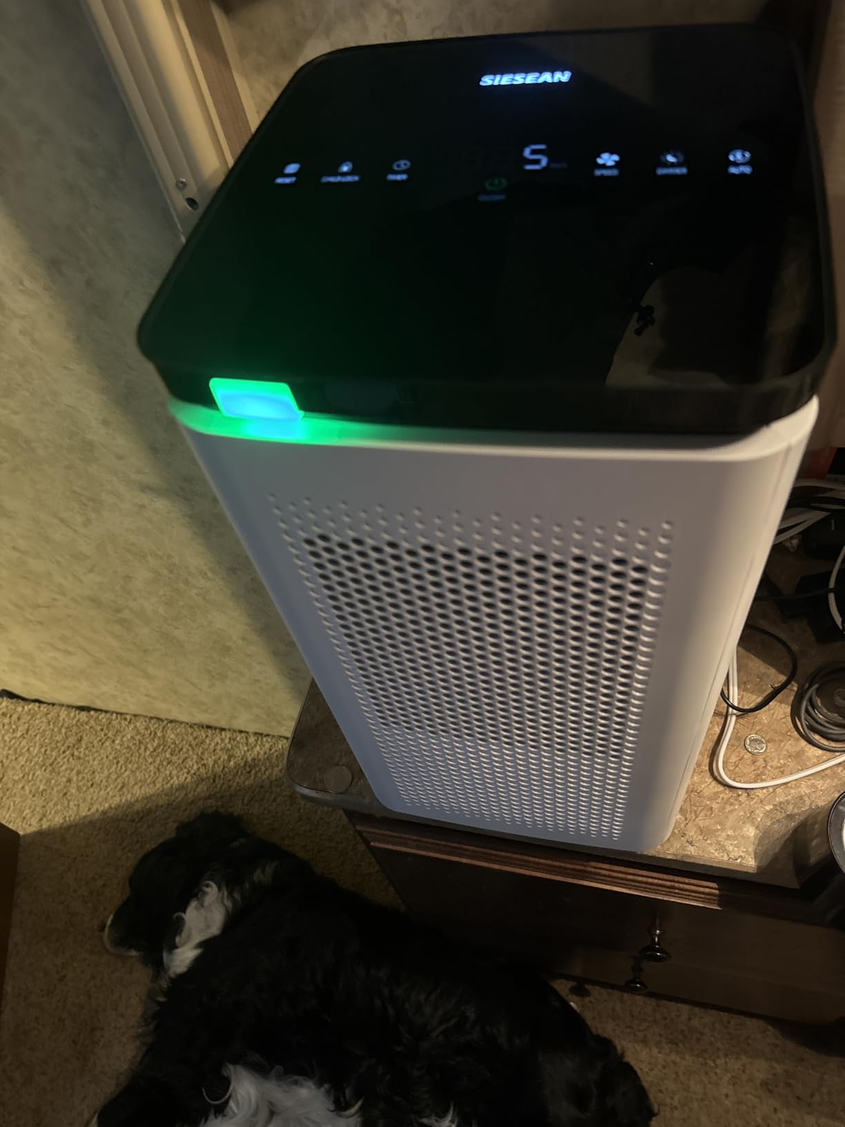 Air Purifiers for Home Large Rooms up to 3500 Ft², H13 True HEPA 0.1 Micron 99.97% Filtration with Carbon Filter, 235 CFM CADR, for Pollen, Pet Odor, Smoke, VOCs, 30dB Sleep Mode, PM2.5 Display customer photo 1
