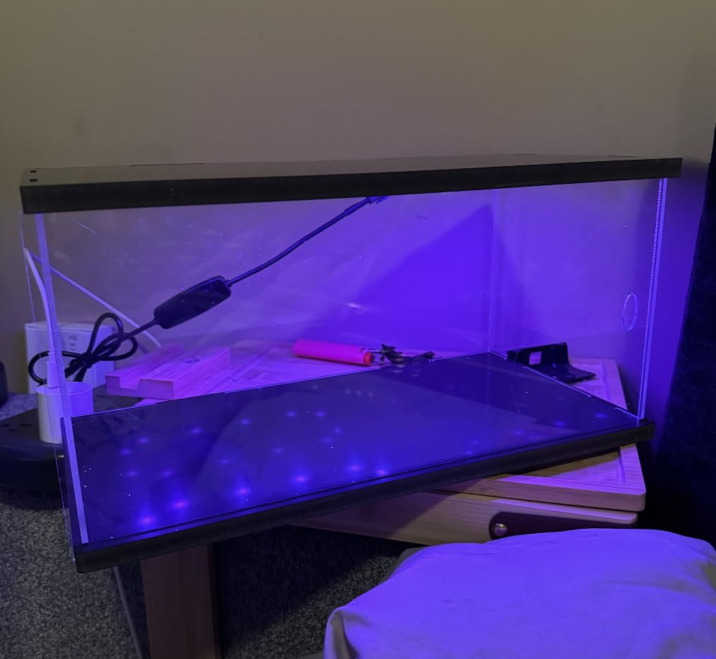 Clear Acrylic Display Case with RGB LED Light,Dustproof Showcase Display Box for 1/8,1/12Scale Diecast Model Car and Lego F1 Technic and Collectibles (1/8 Scale 23.6x11.8x9.4inch,60x30x24cm) customer photo 1